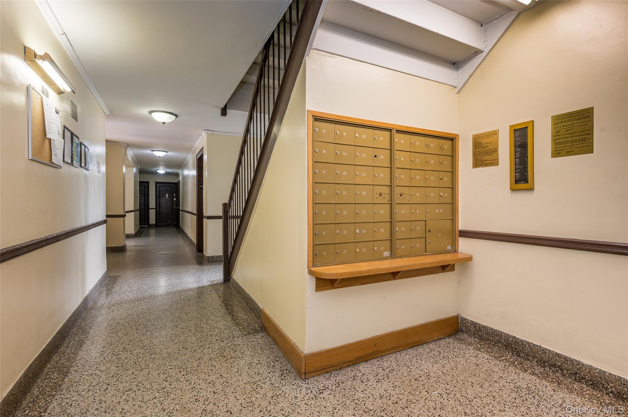 Coop Barnes  Bronx, NY 10462, MLS-979145-3