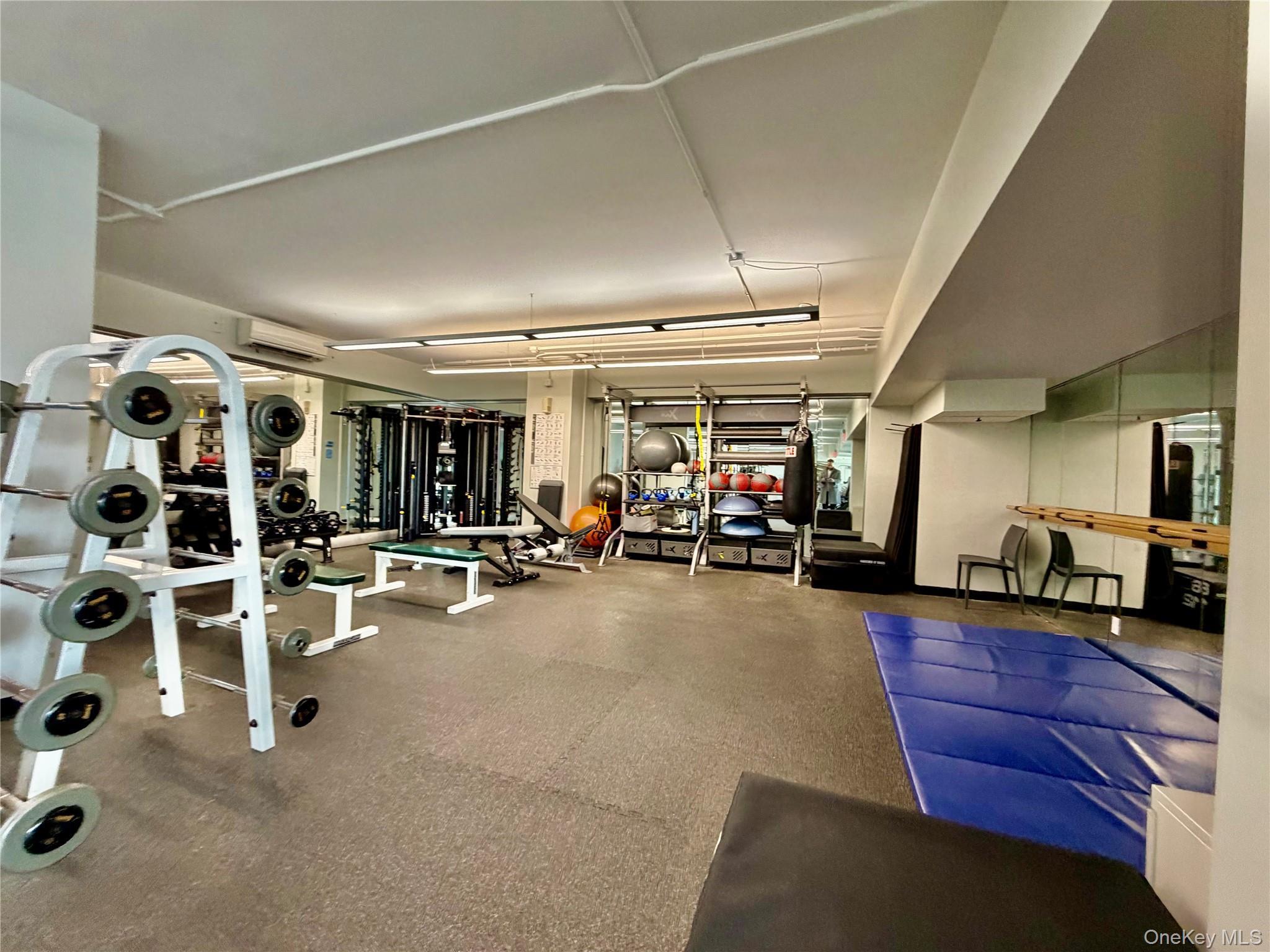 Coop Johson  Bronx, NY 10463, MLS-979183-12