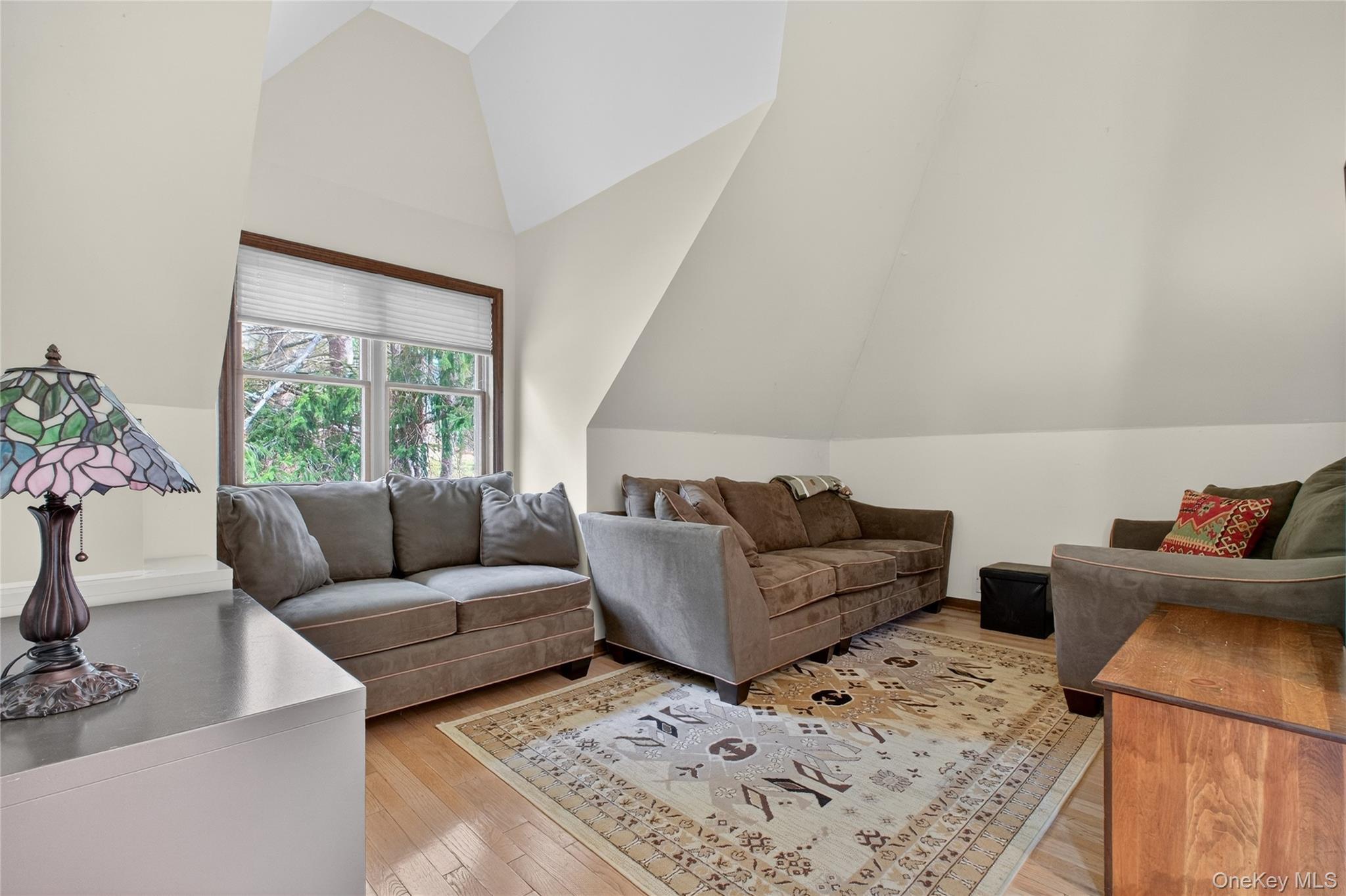 Single Family Overlook  Dutchess County, NY 12603, MLS-979263-31