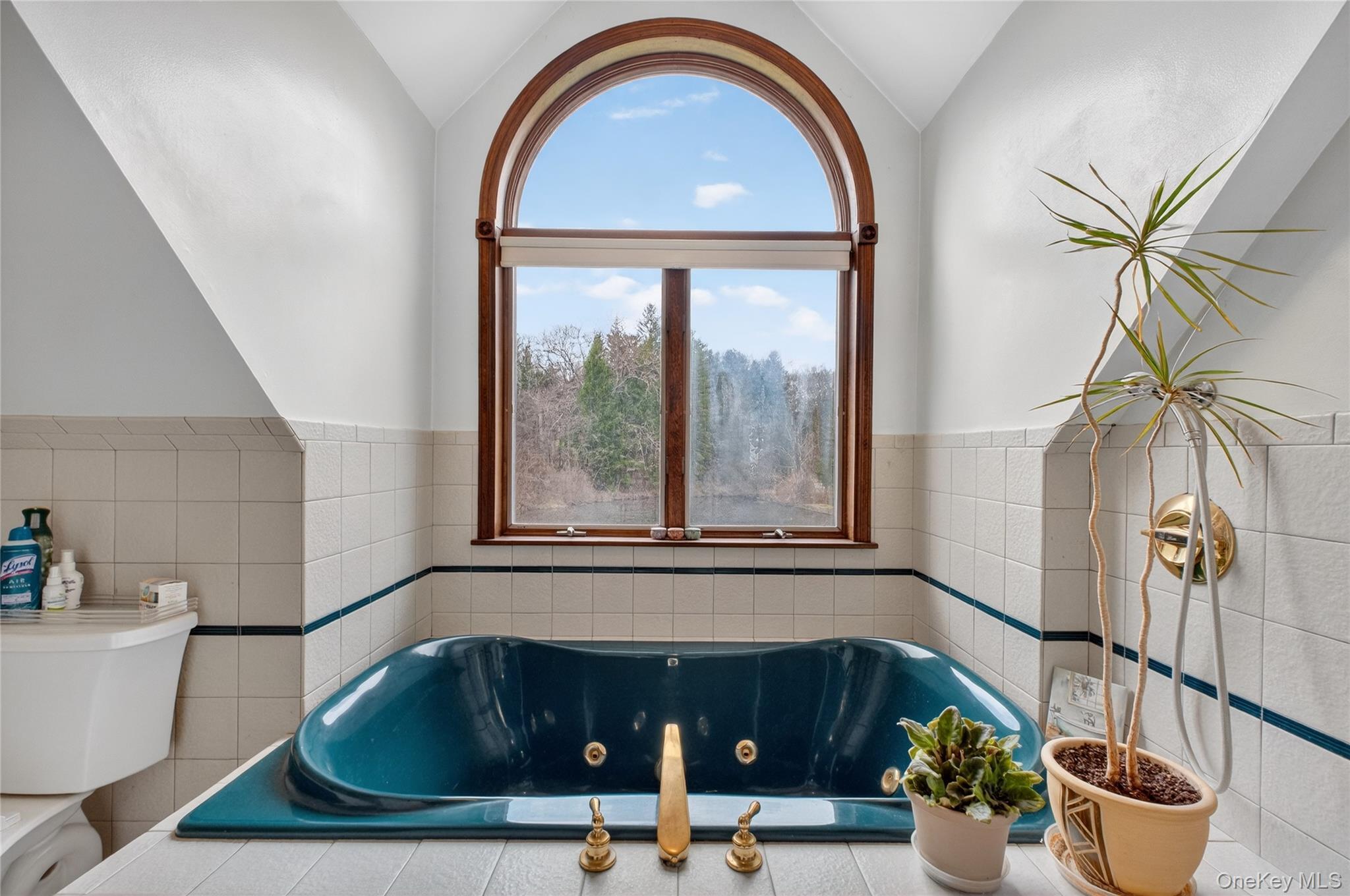 Single Family Overlook  Dutchess County, NY 12603, MLS-979263-36