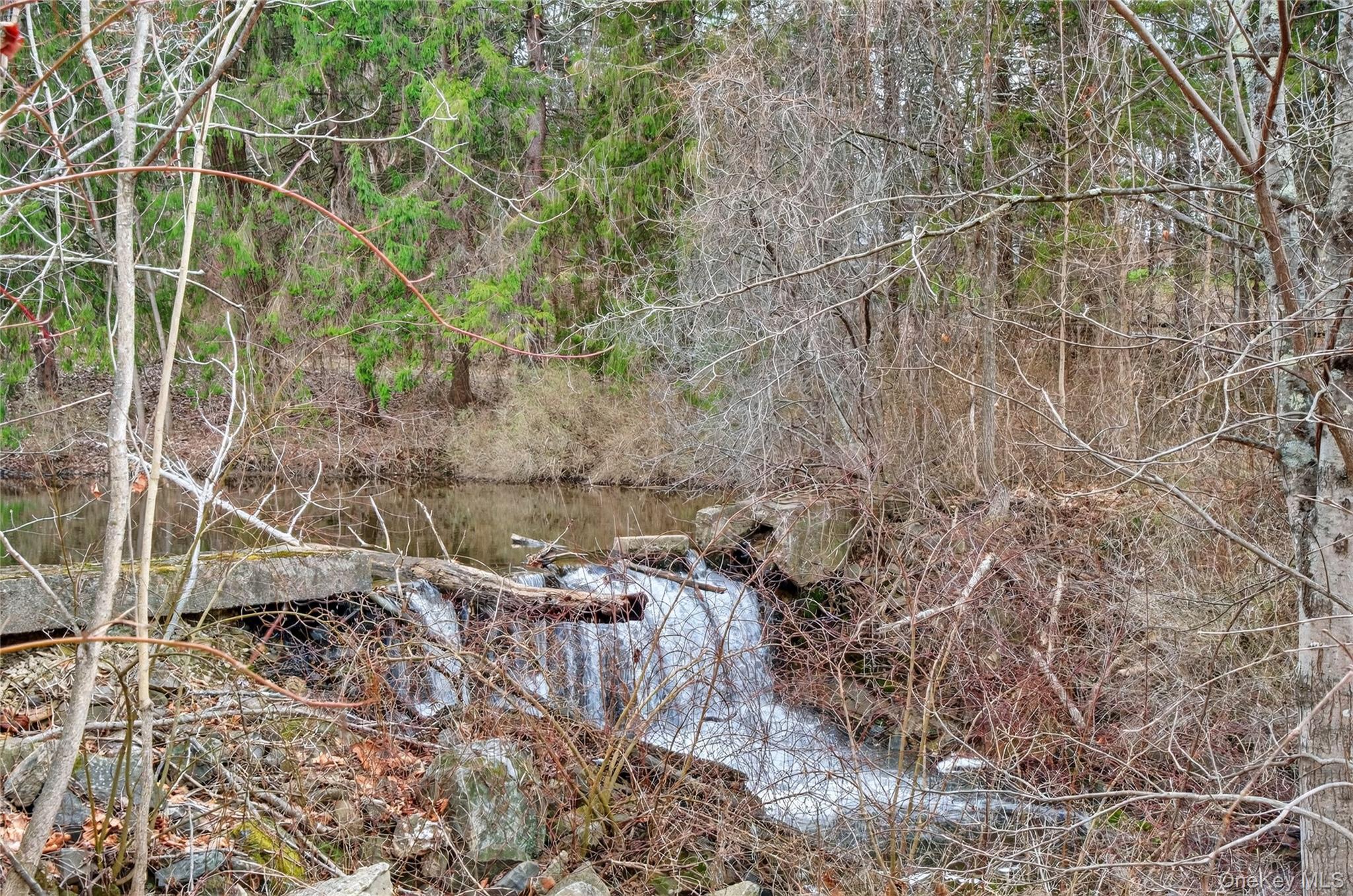 Single Family Overlook  Dutchess County, NY 12603, MLS-979263-45