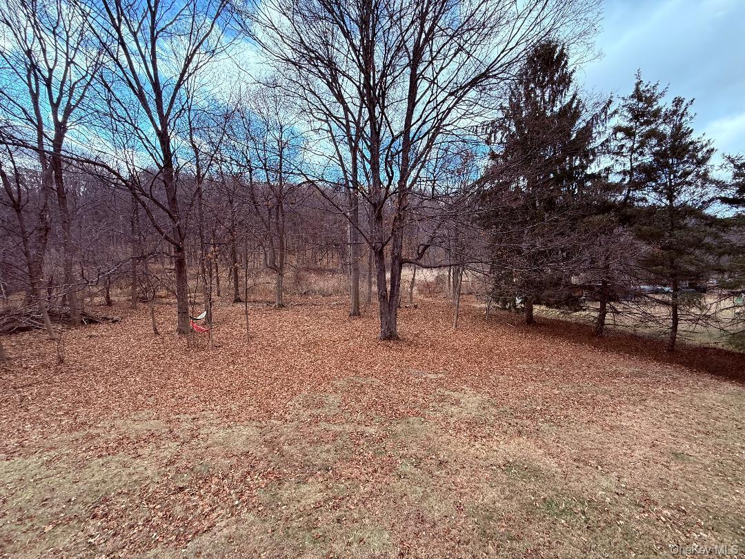 Single Family Belvedere  Dutchess County, NY 12508, MLS-979267-19