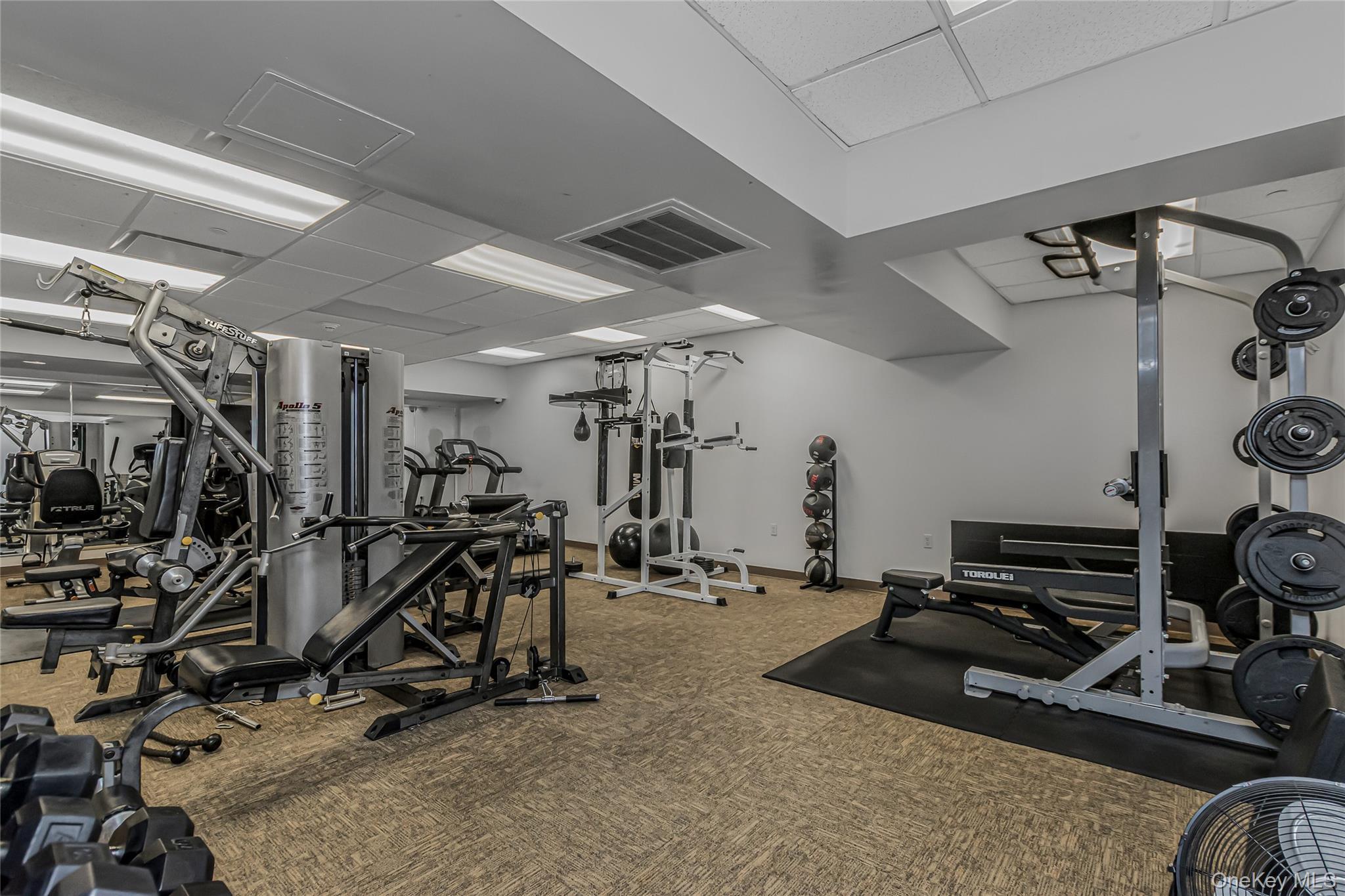 Condo Main  Westchester County, NY 10801, MLS-979282-20