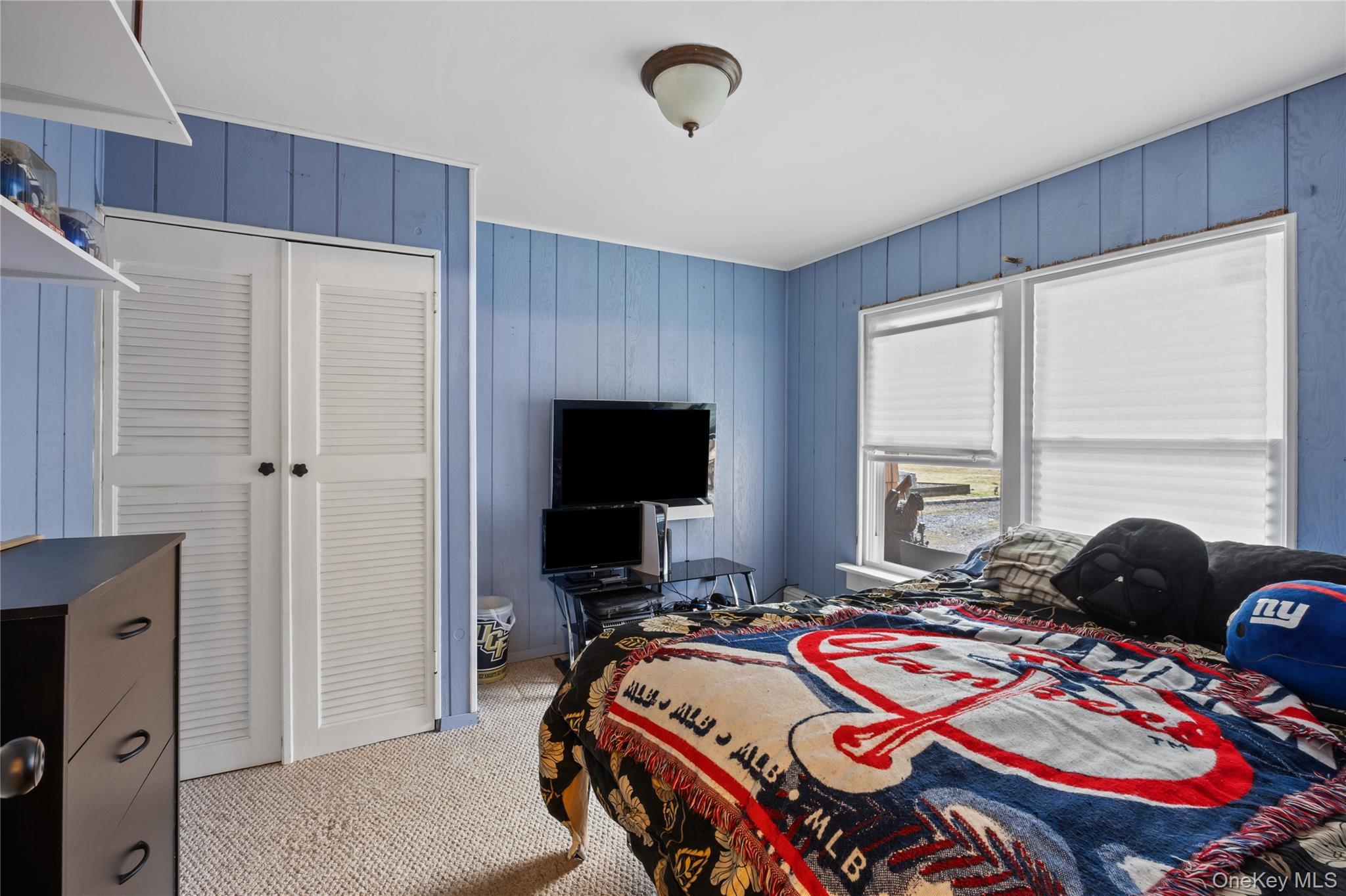 Single Family Timber Trail  Suffolk County, NY 11763, MLS-979295-19