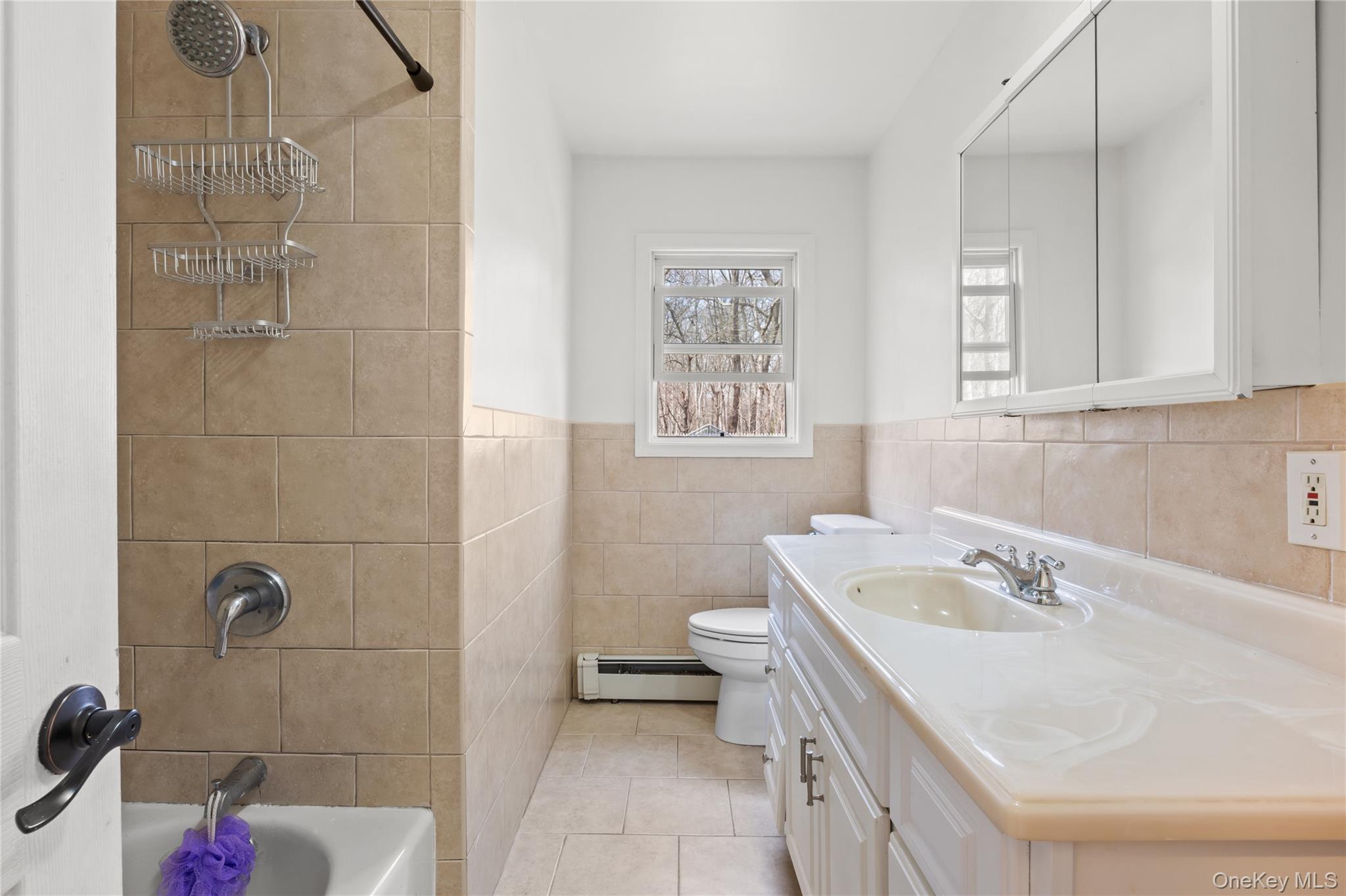 Single Family Timber Trail  Suffolk County, NY 11763, MLS-979295-21