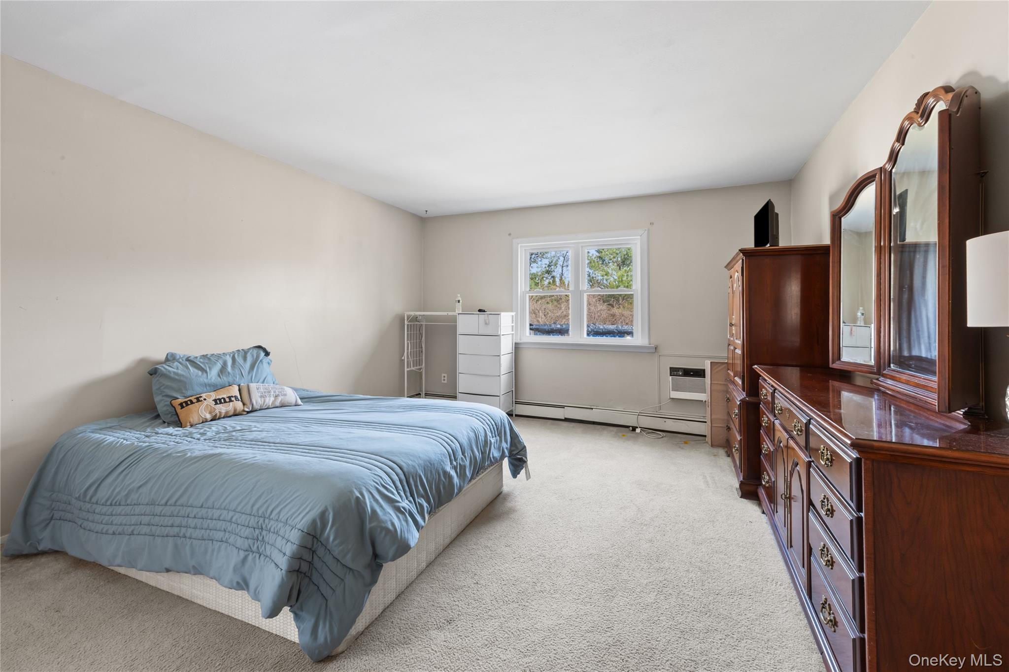 Single Family Timber Trail  Suffolk County, NY 11763, MLS-979295-22