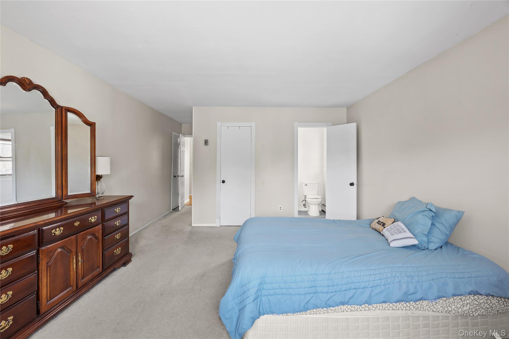 Single Family Timber Trail  Suffolk County, NY 11763, MLS-979295-24