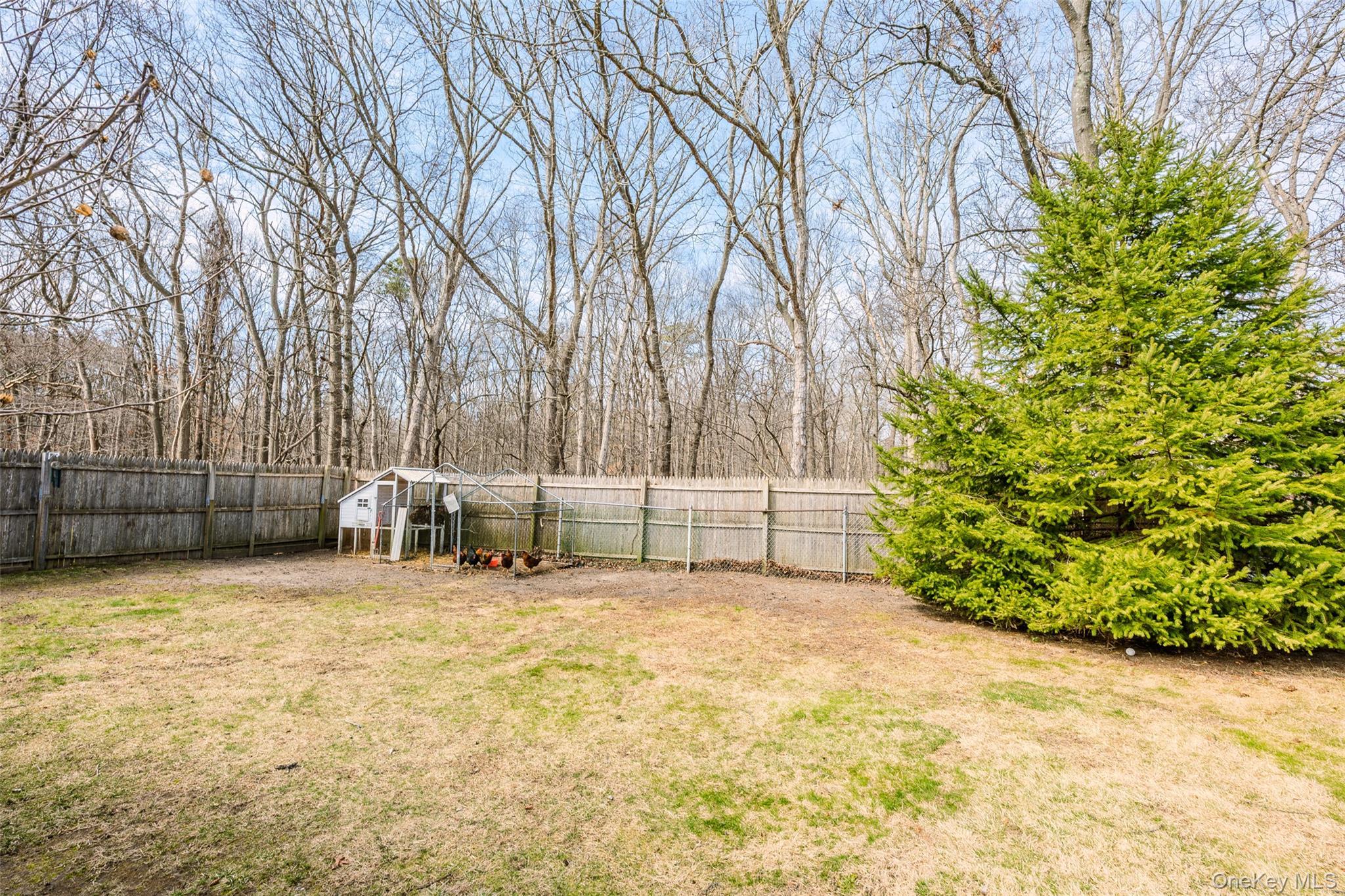 Single Family Timber Trail  Suffolk County, NY 11763, MLS-979295-31