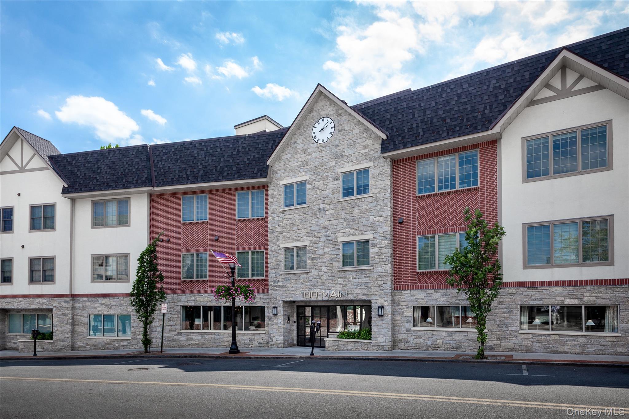 Condo Main  Westchester County, NY 10707, MLS-979305-3