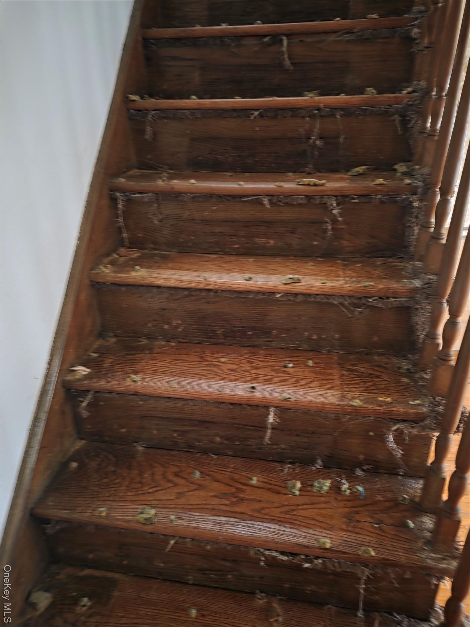 Single Family 139th  Queens, NY 11413, MLS-979311-9