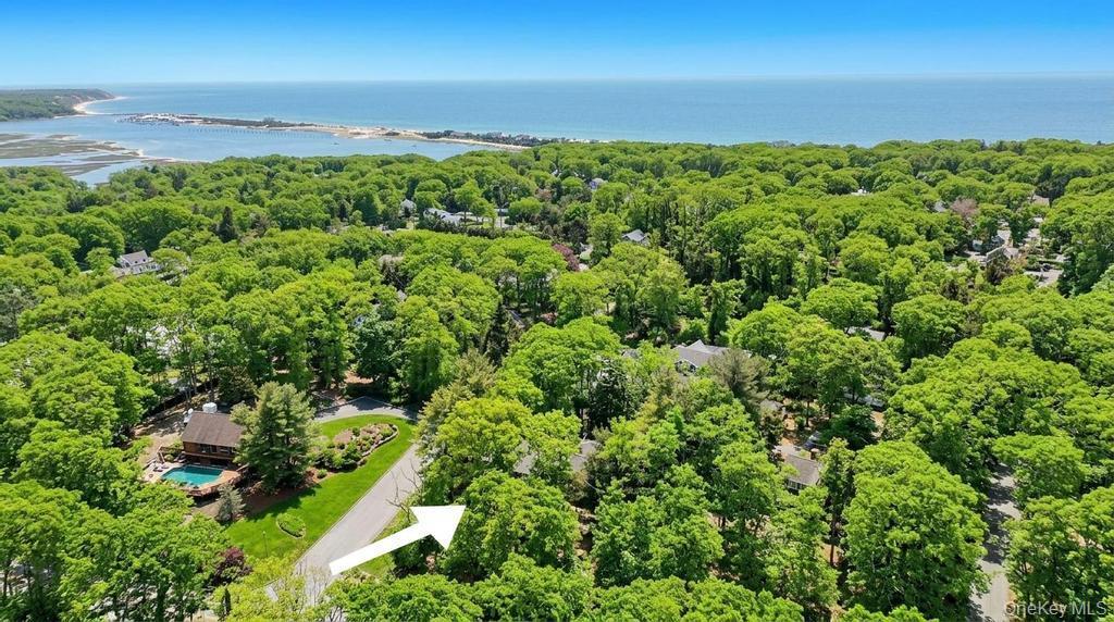 Single Family Audubon Gate  Suffolk County, NY 11764, MLS-979324-45
