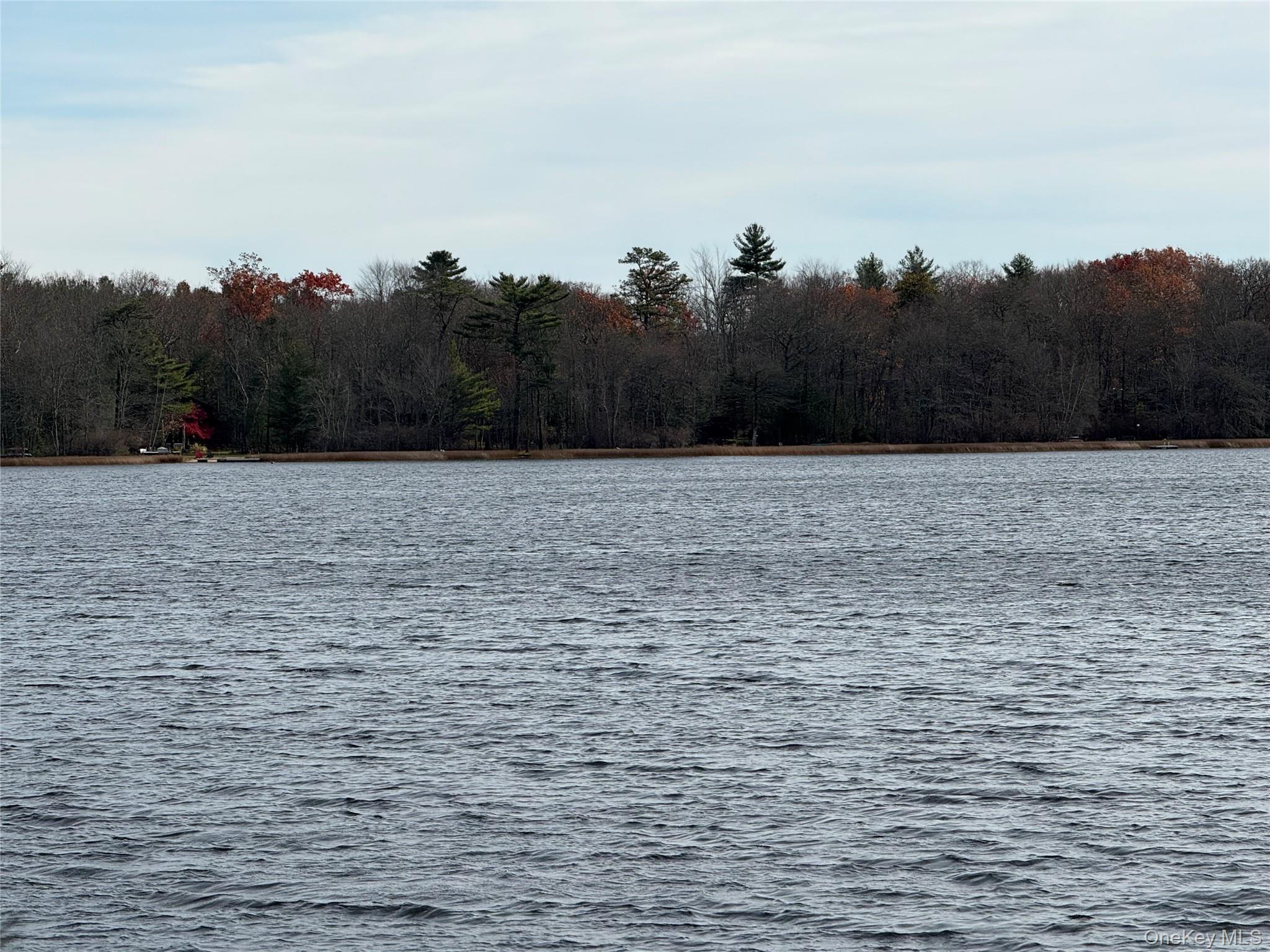 Single Family Fairway  Sullivan County, NY 12743, MLS-979329-3