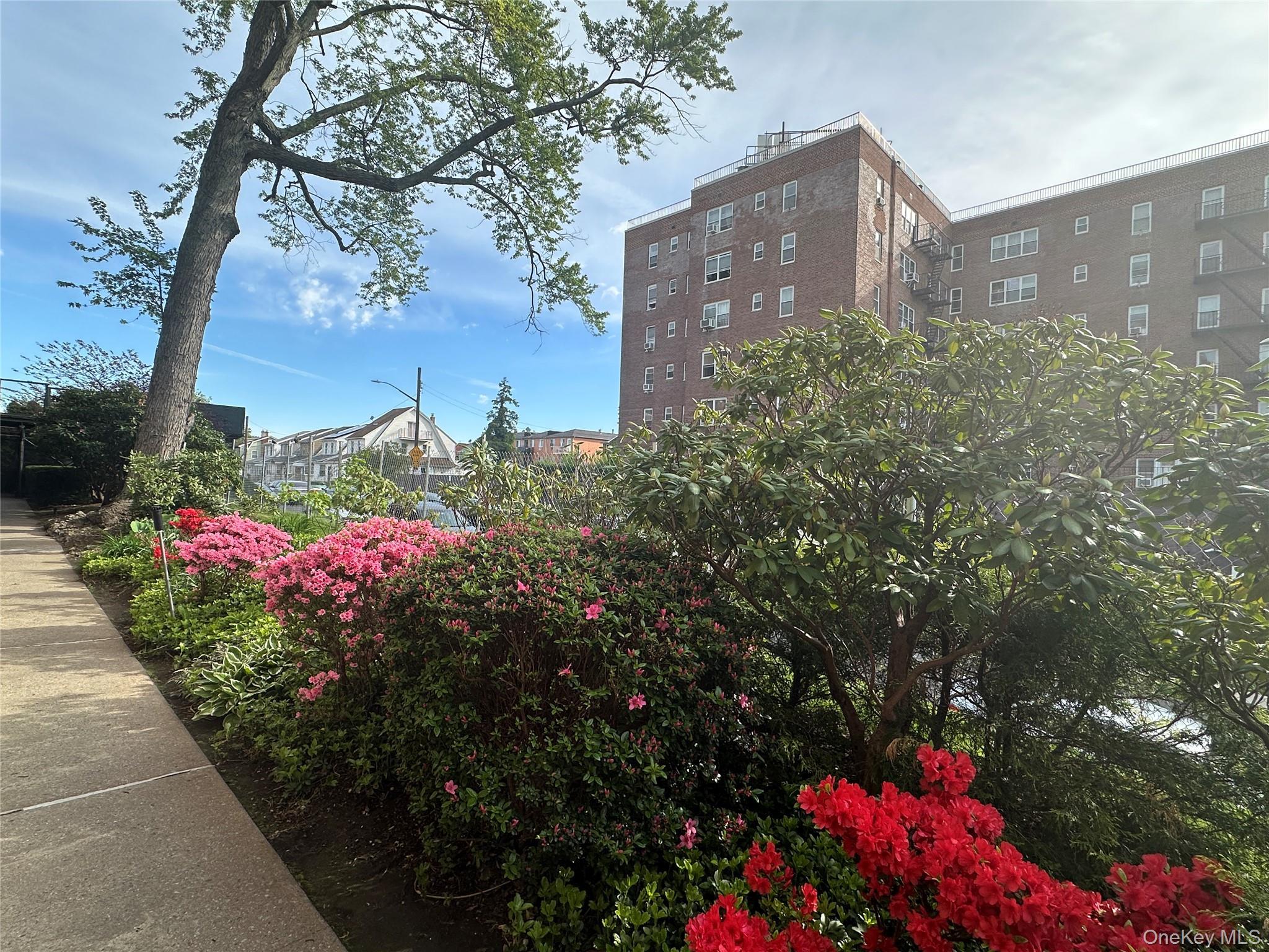 Apartment 168th Street  Queens, NY 11432, MLS-979344-13