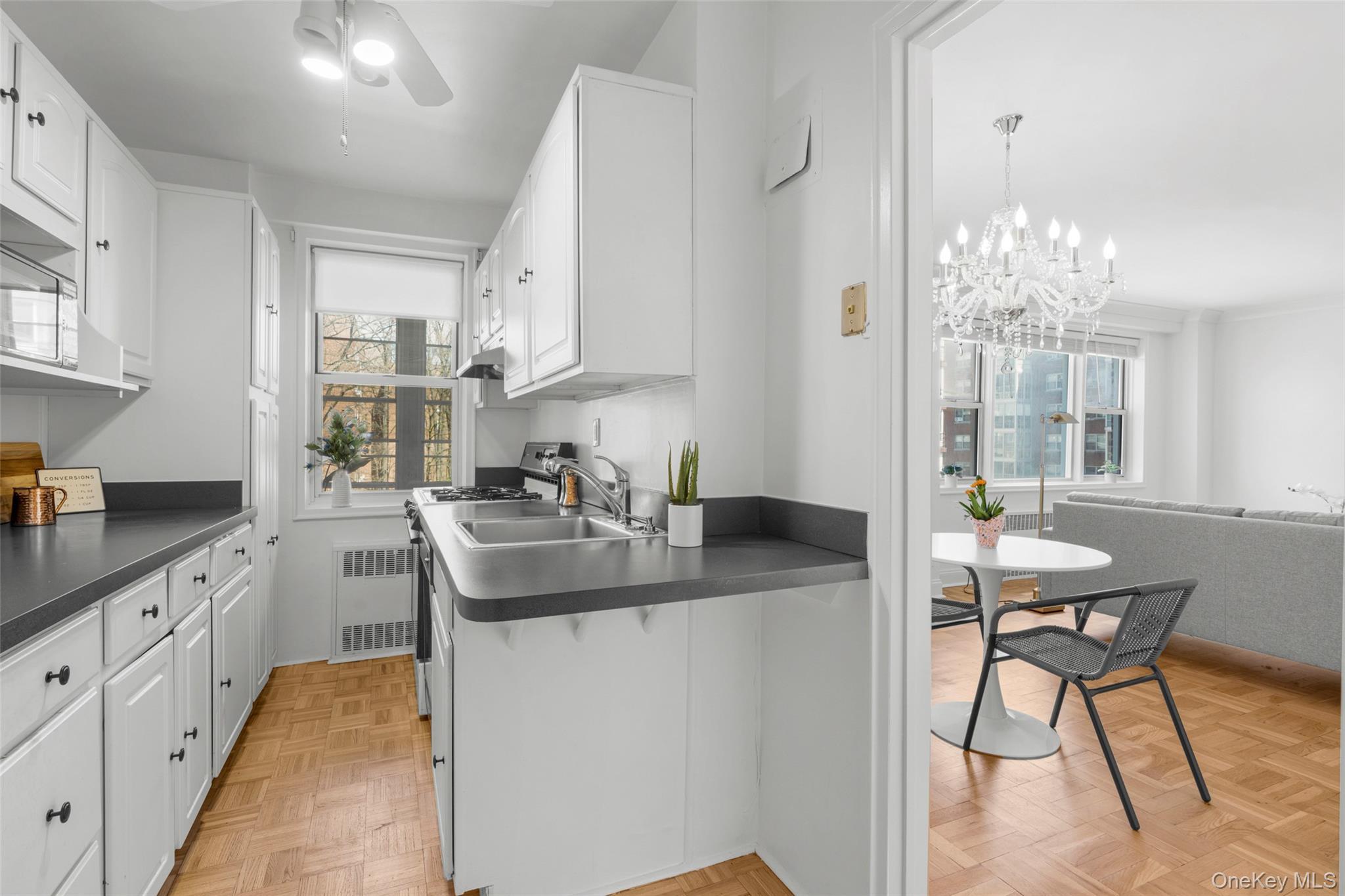 Coop Washington  Westchester County, NY 10538, MLS-979354-13