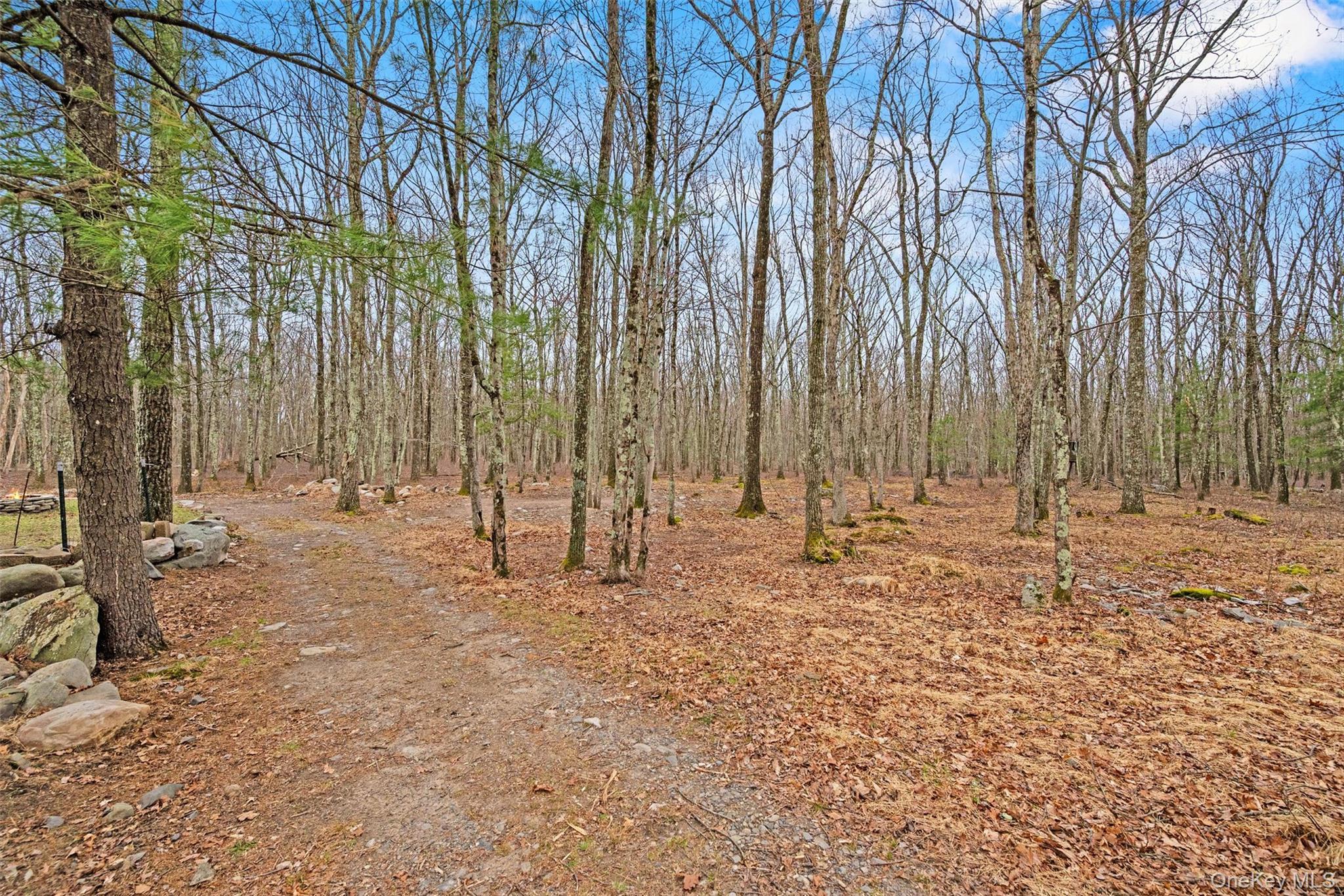 Single Family Peenpack Trail  Orange County, NY 12780, MLS-979369-33