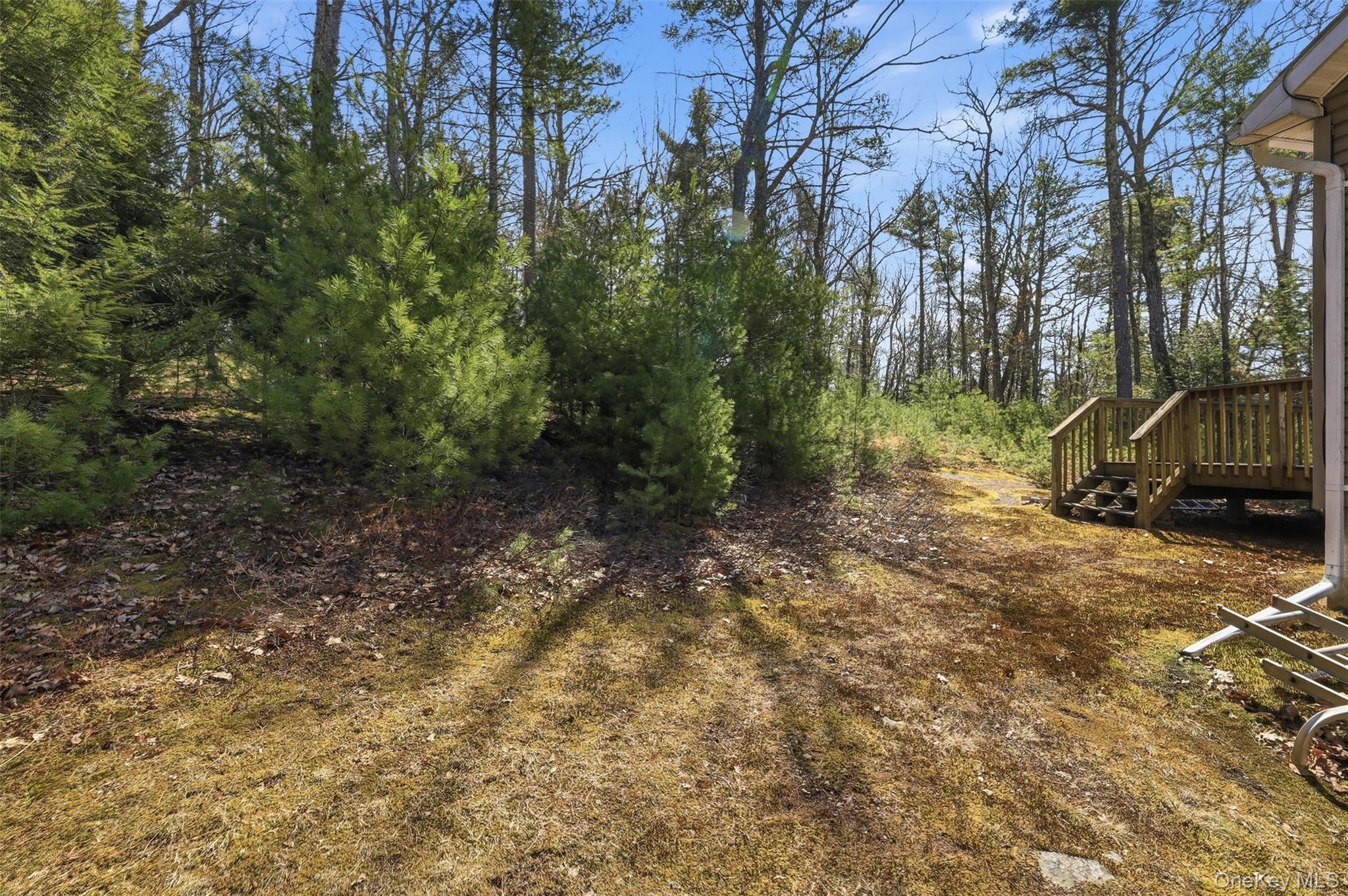 Single Family Collins  Sullivan County, NY 12732, MLS-979414-5