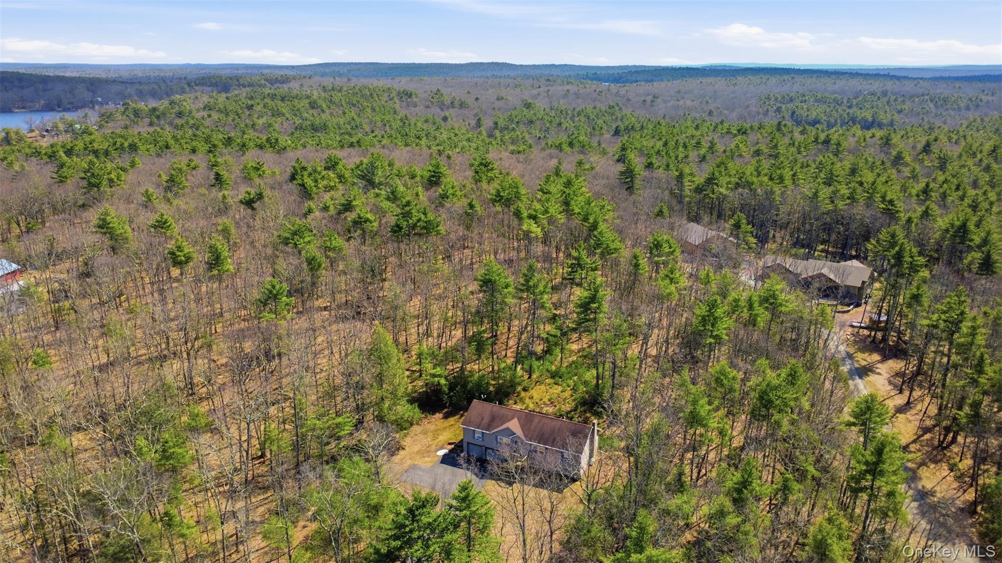 Single Family Collins  Sullivan County, NY 12732, MLS-979414-6