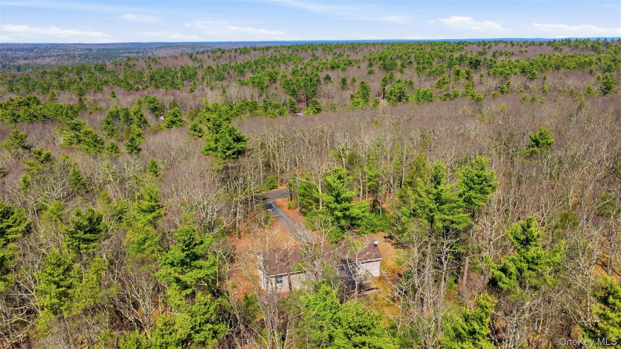 Single Family Collins  Sullivan County, NY 12732, MLS-979414-7