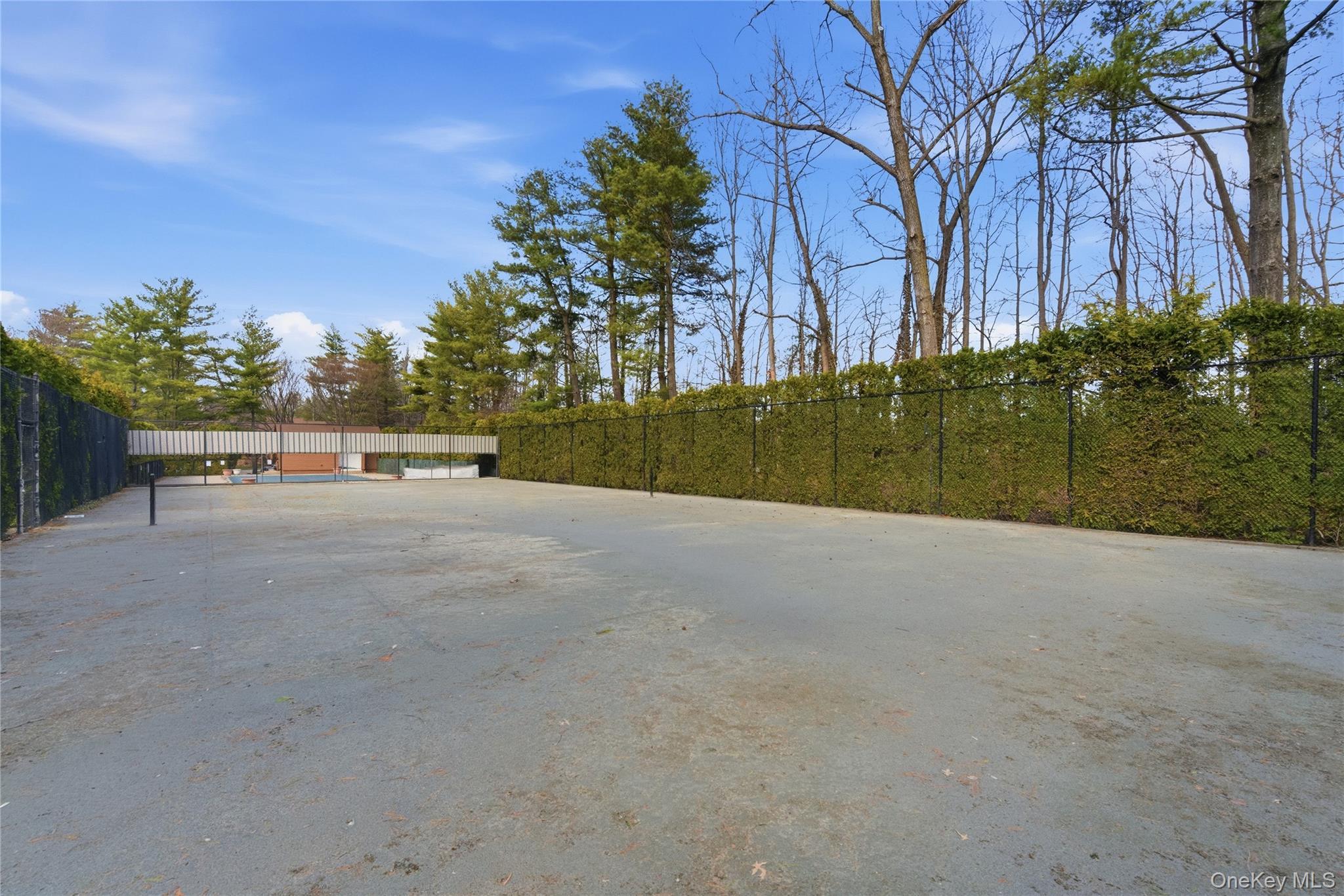 Condo Yale  Nassau County, NY 11030, MLS-979450-44