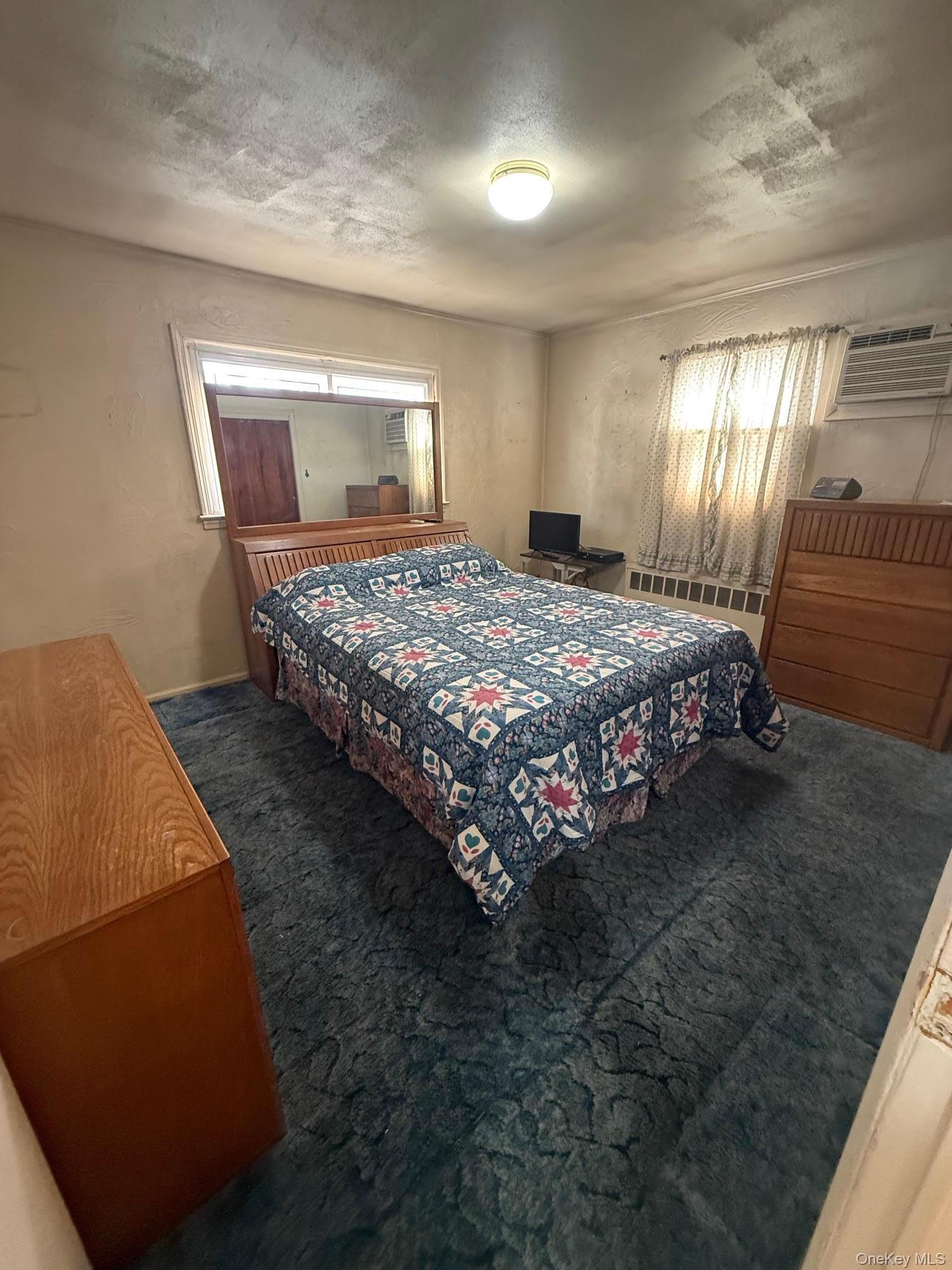 Single Family Denton  Nassau County, NY 11563, MLS-979460-11