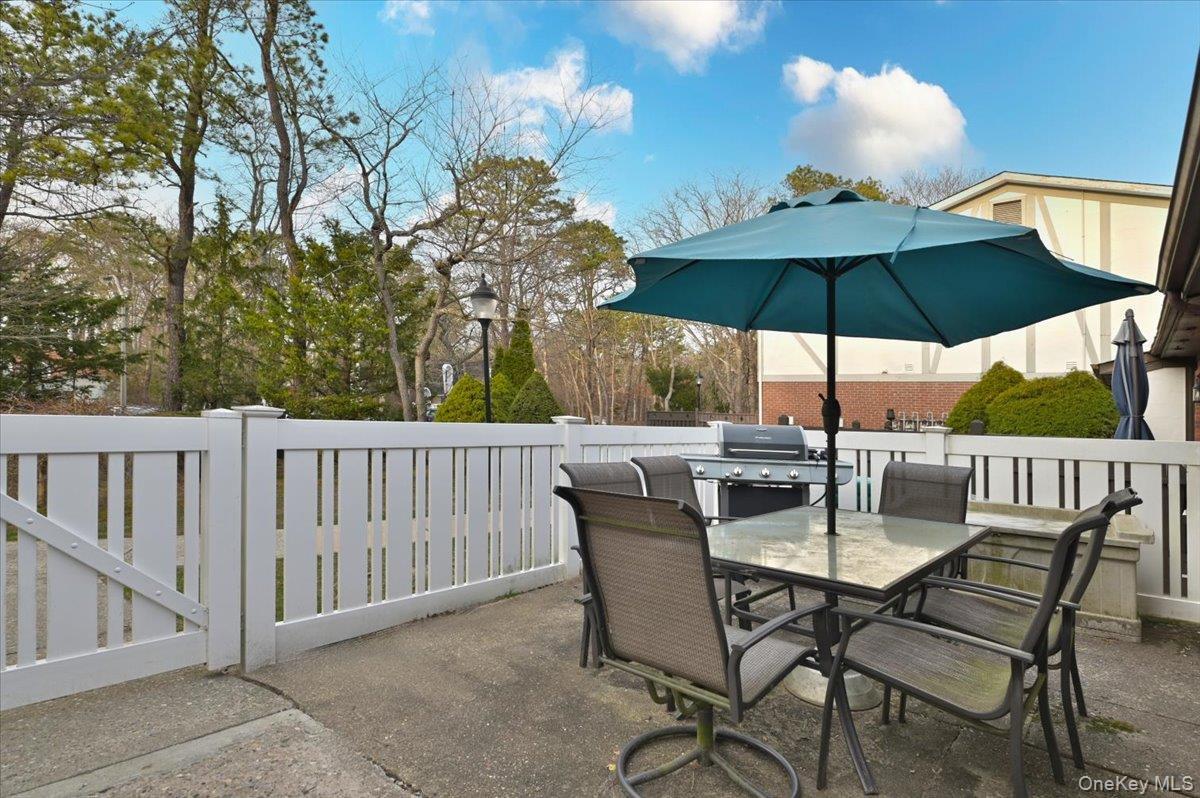 Condo Birchwood  Suffolk County, NY 11763, MLS-979511-19