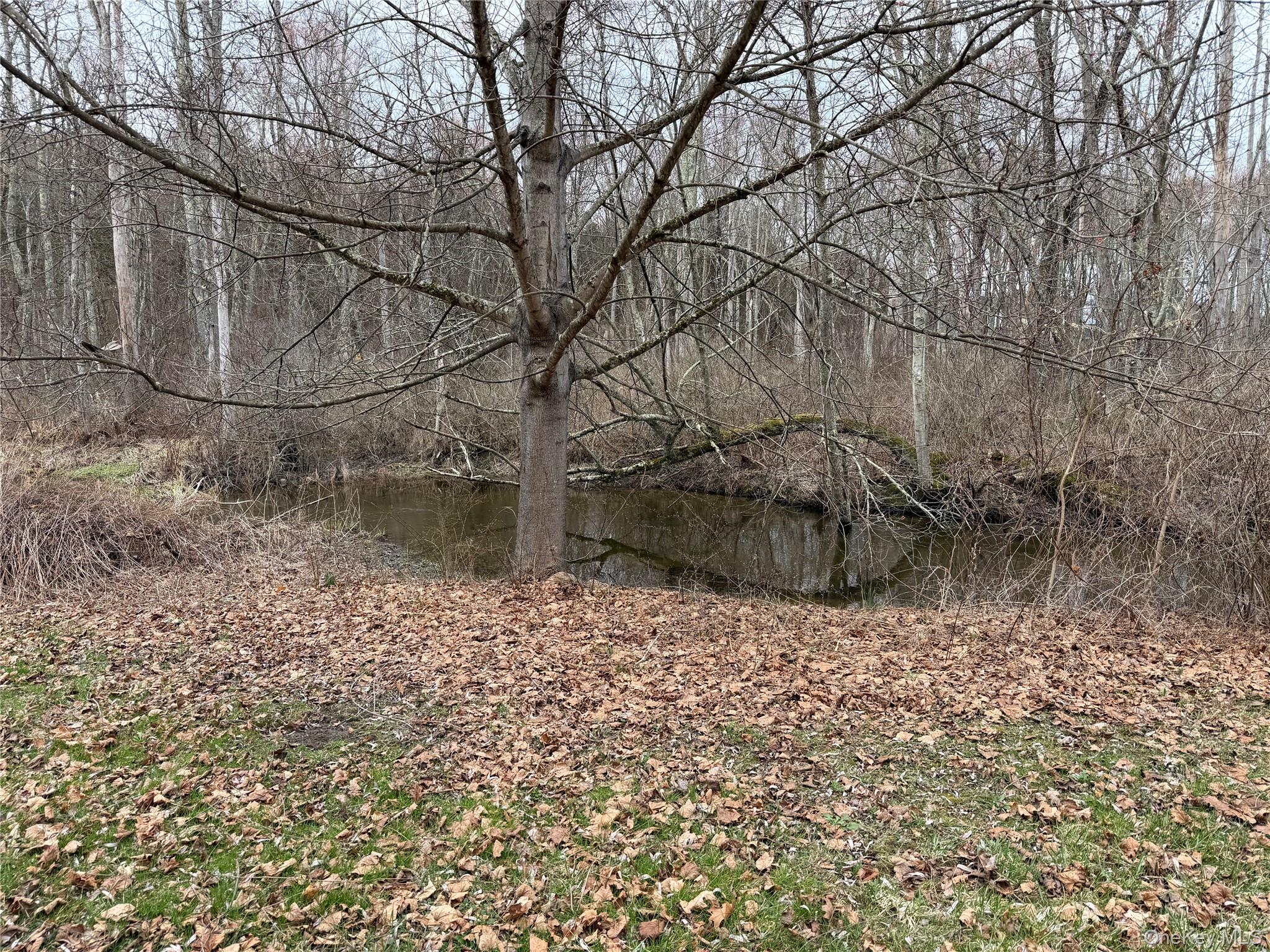 Single Family Route 9g  Dutchess County, NY 12580, MLS-979526-20