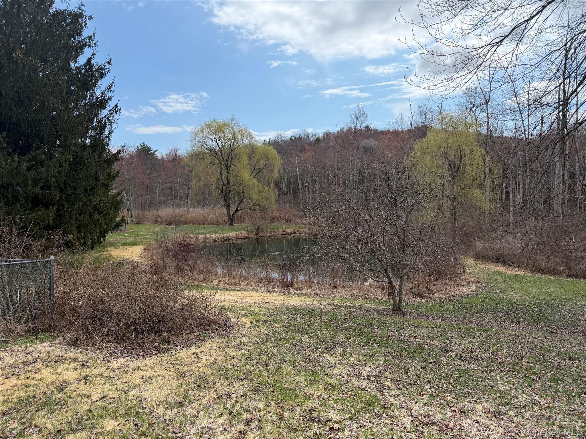 Single Family Route 9g  Dutchess County, NY 12580, MLS-979526-21