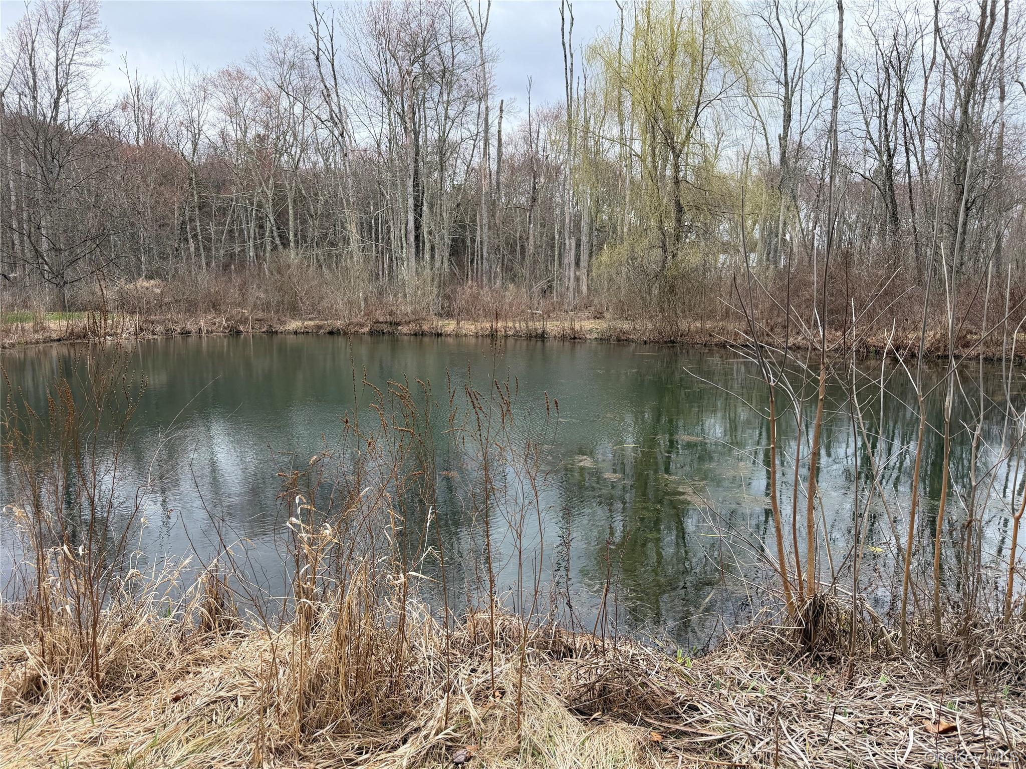 Single Family Route 9g  Dutchess County, NY 12580, MLS-979526-22