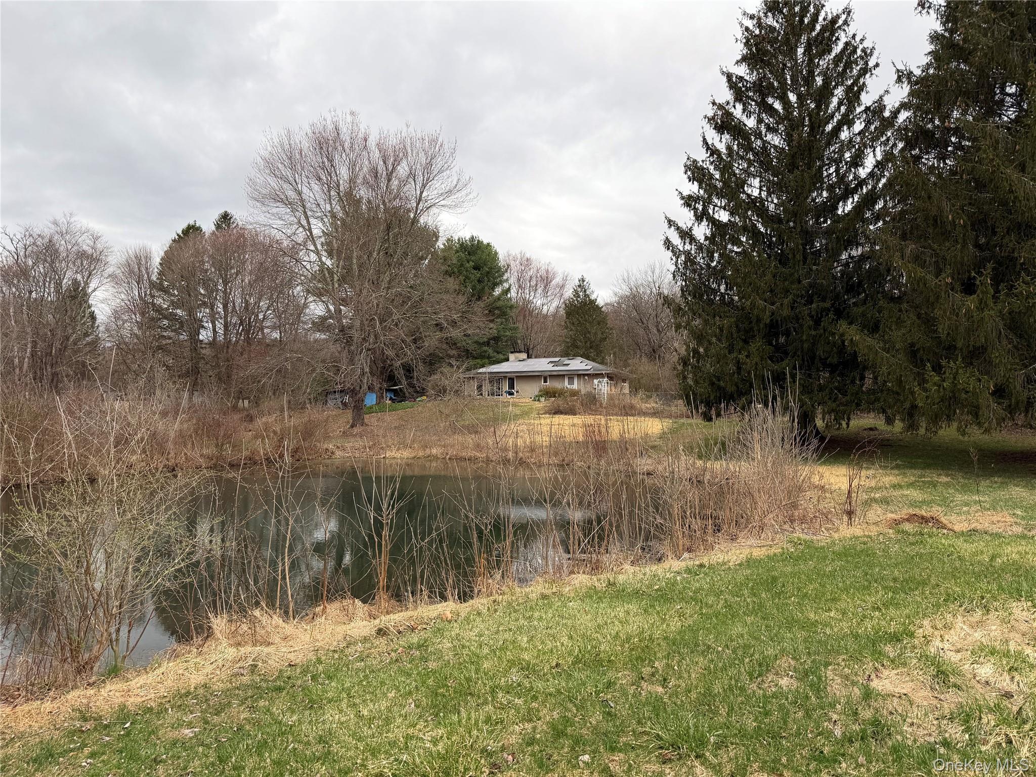 Single Family Route 9g  Dutchess County, NY 12580, MLS-979526-24