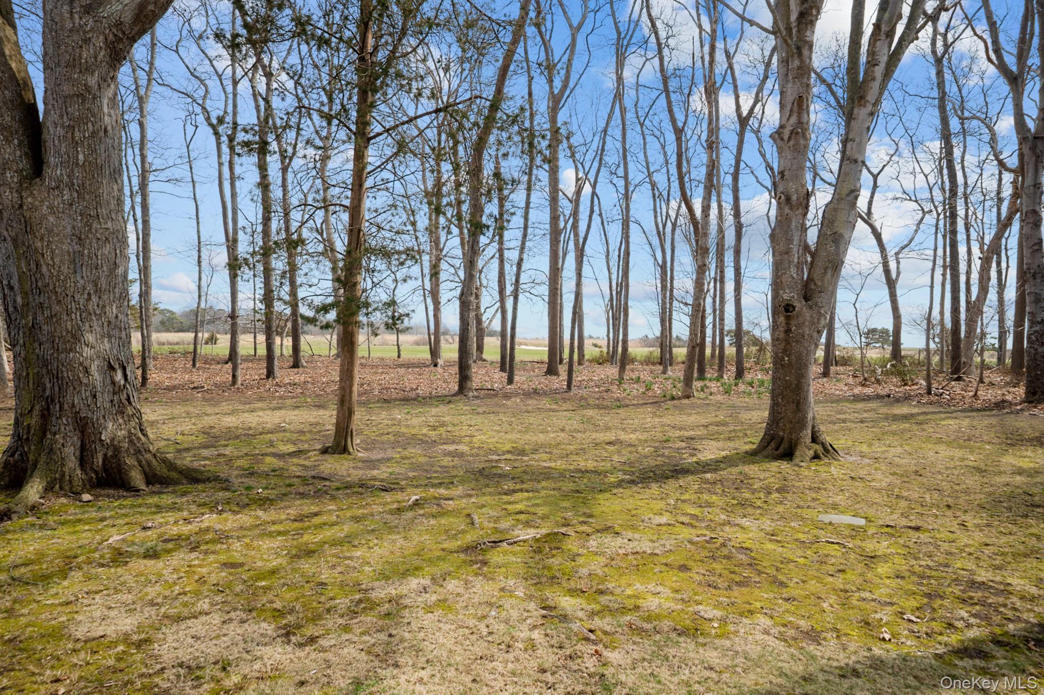 Single Family Woodacres  Suffolk County, NY 11772, MLS-979545-4