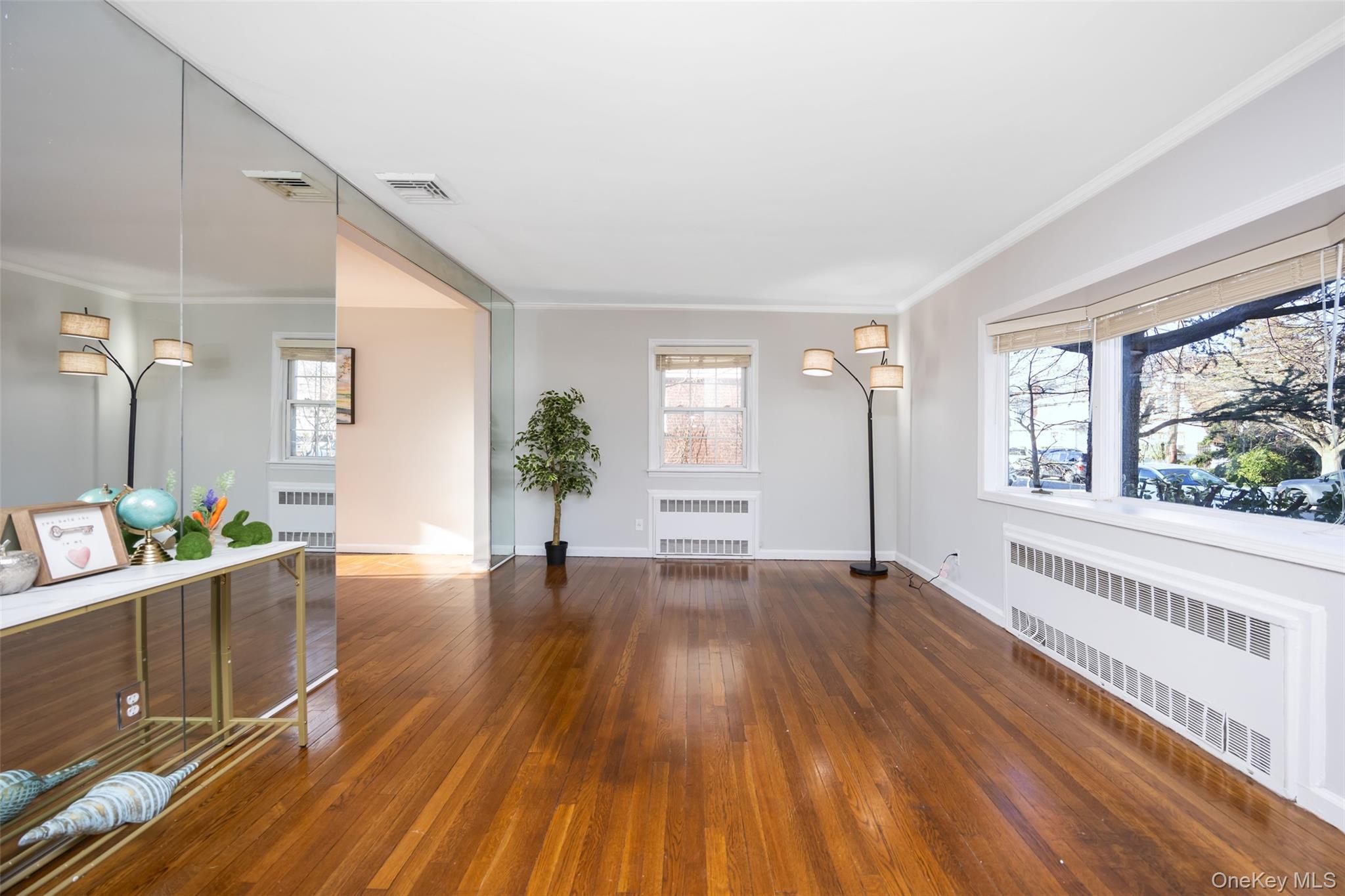 Single Family Spruce  Nassau County, NY 11552, MLS-979558-6