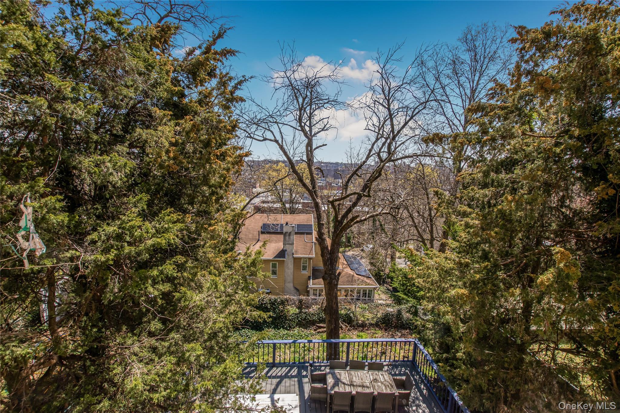 Single Family Netherland  Bronx, NY 10463, MLS-979561-4