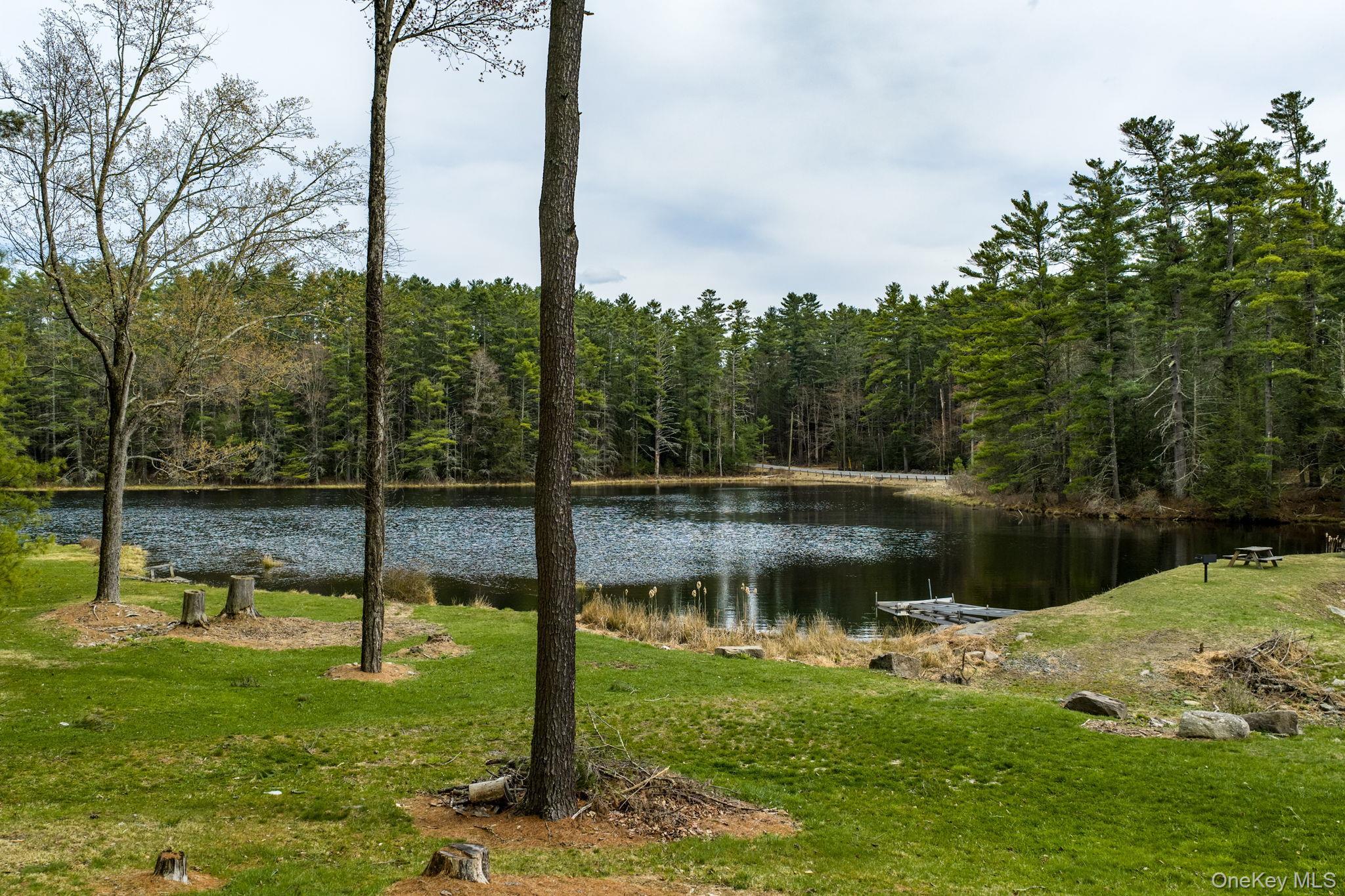 Single Family Stag Forest  Sullivan County, NY 12777, MLS-979575-29