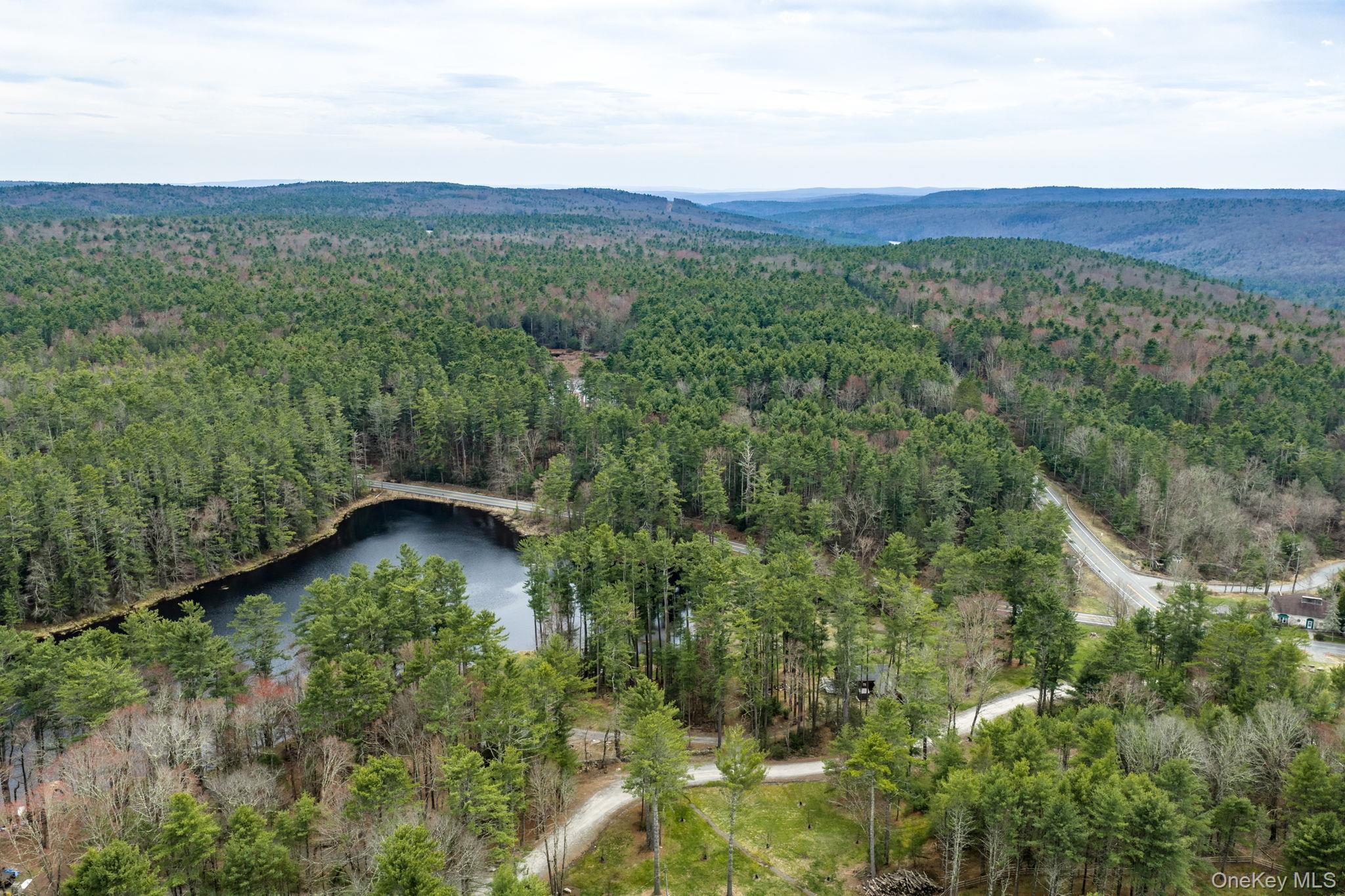 Single Family Stag Forest  Sullivan County, NY 12777, MLS-979575-32