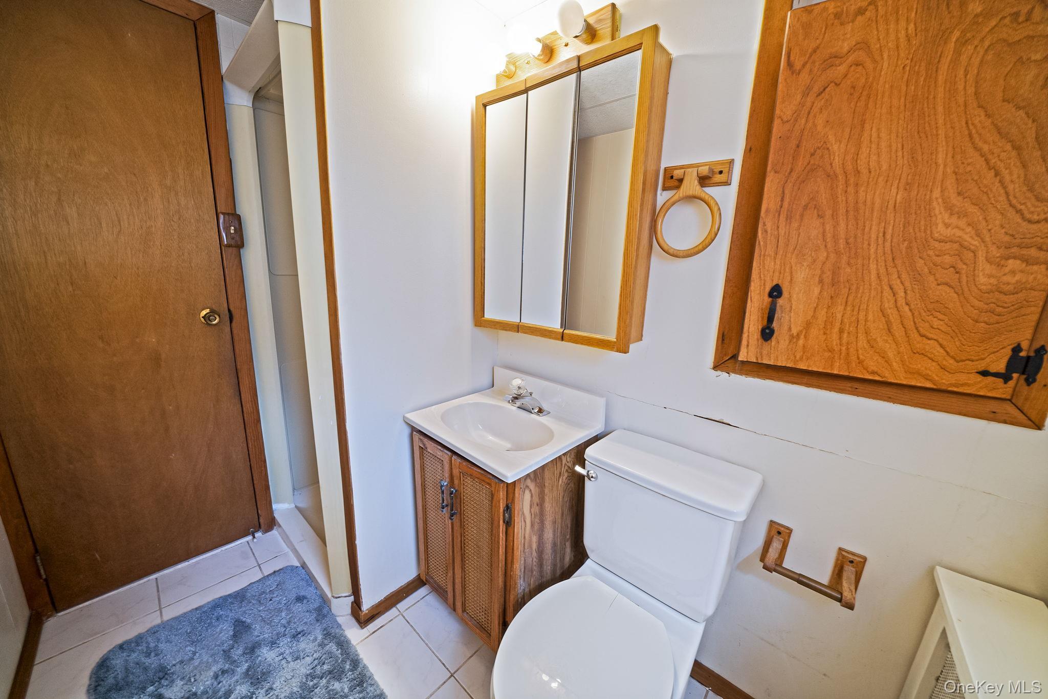 Single Family Woods  Suffolk County, NY 11703, MLS-979576-29