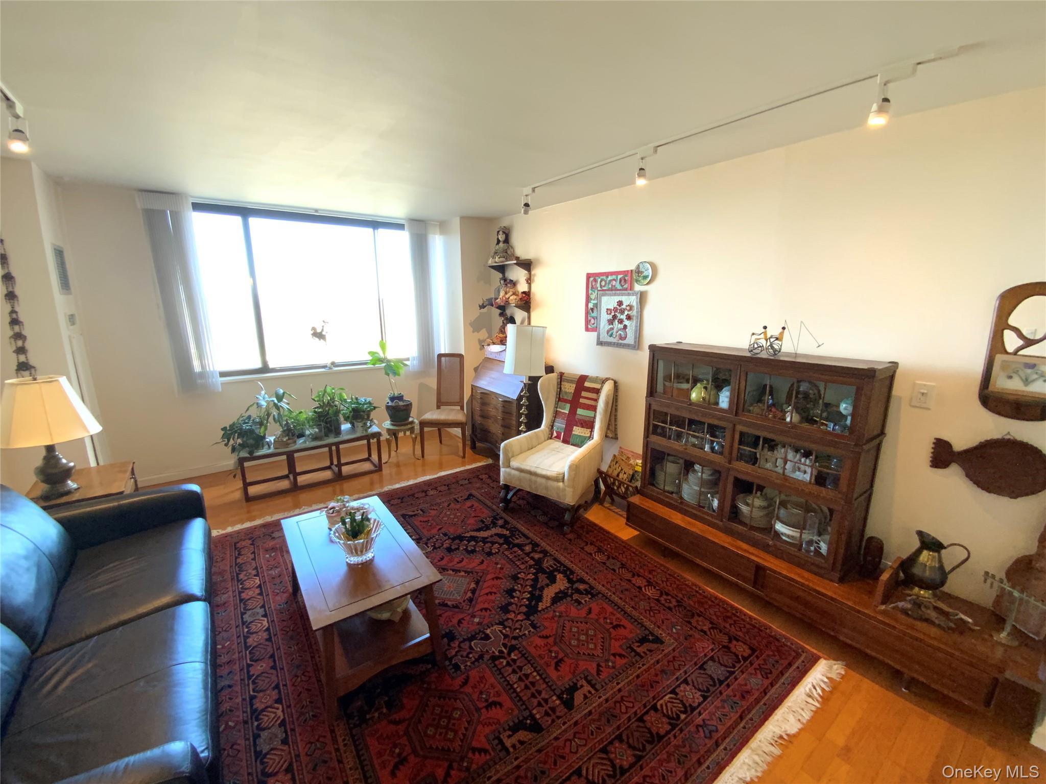 Coop Grand Central  Queens, NY 11005, MLS-979585-2