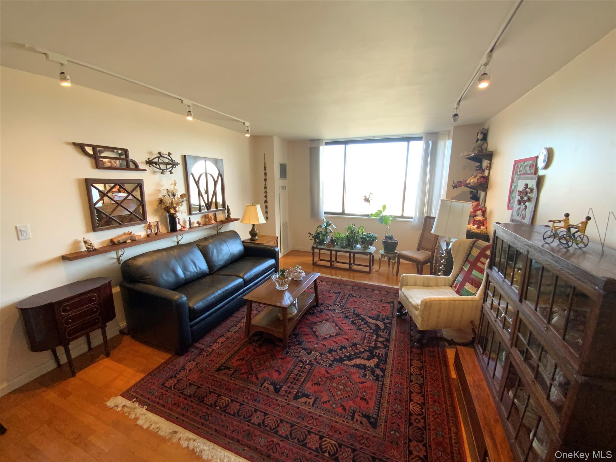 Coop Grand Central  Queens, NY 11005, MLS-979585-3