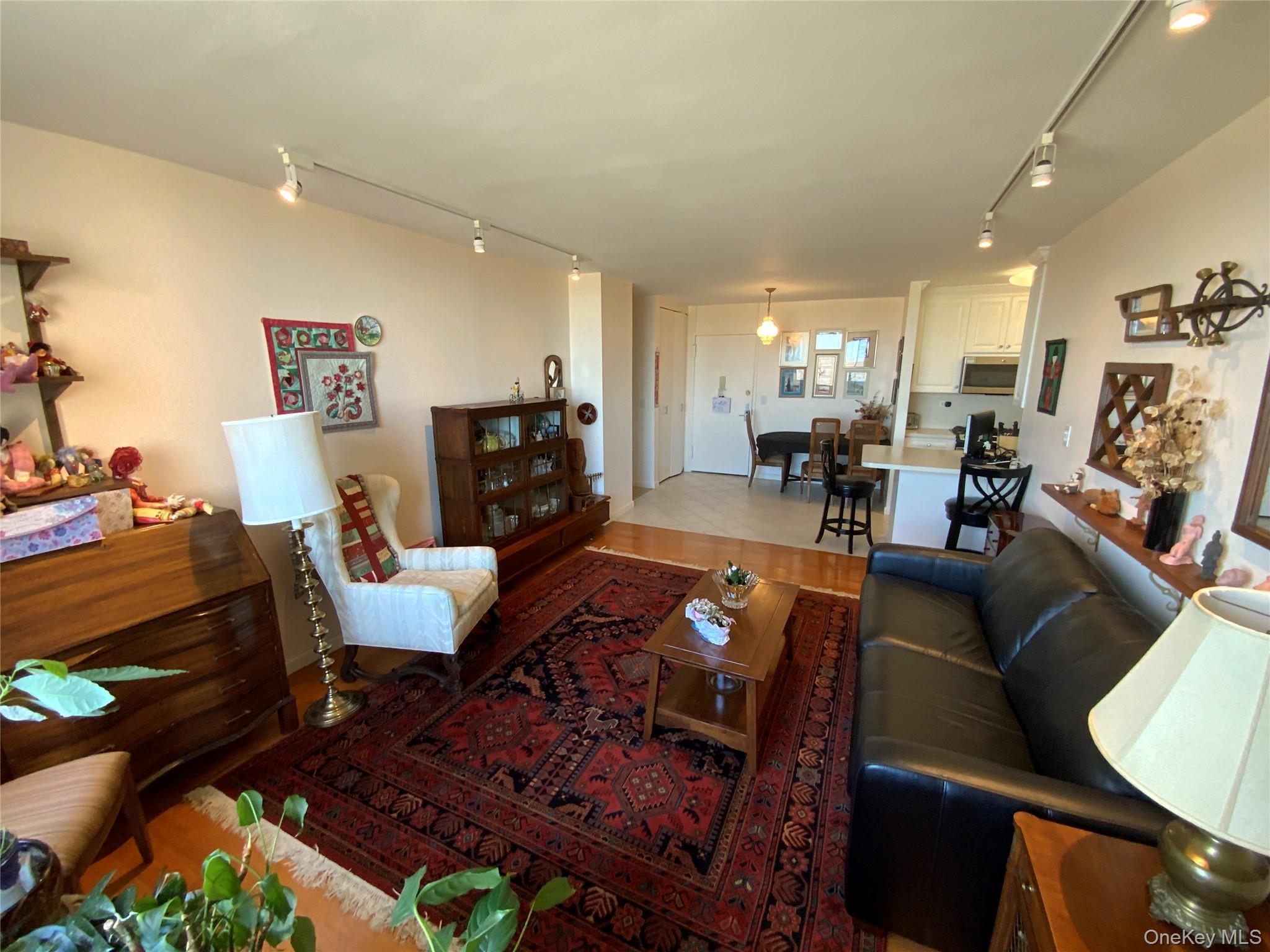 Coop Grand Central  Queens, NY 11005, MLS-979585-4