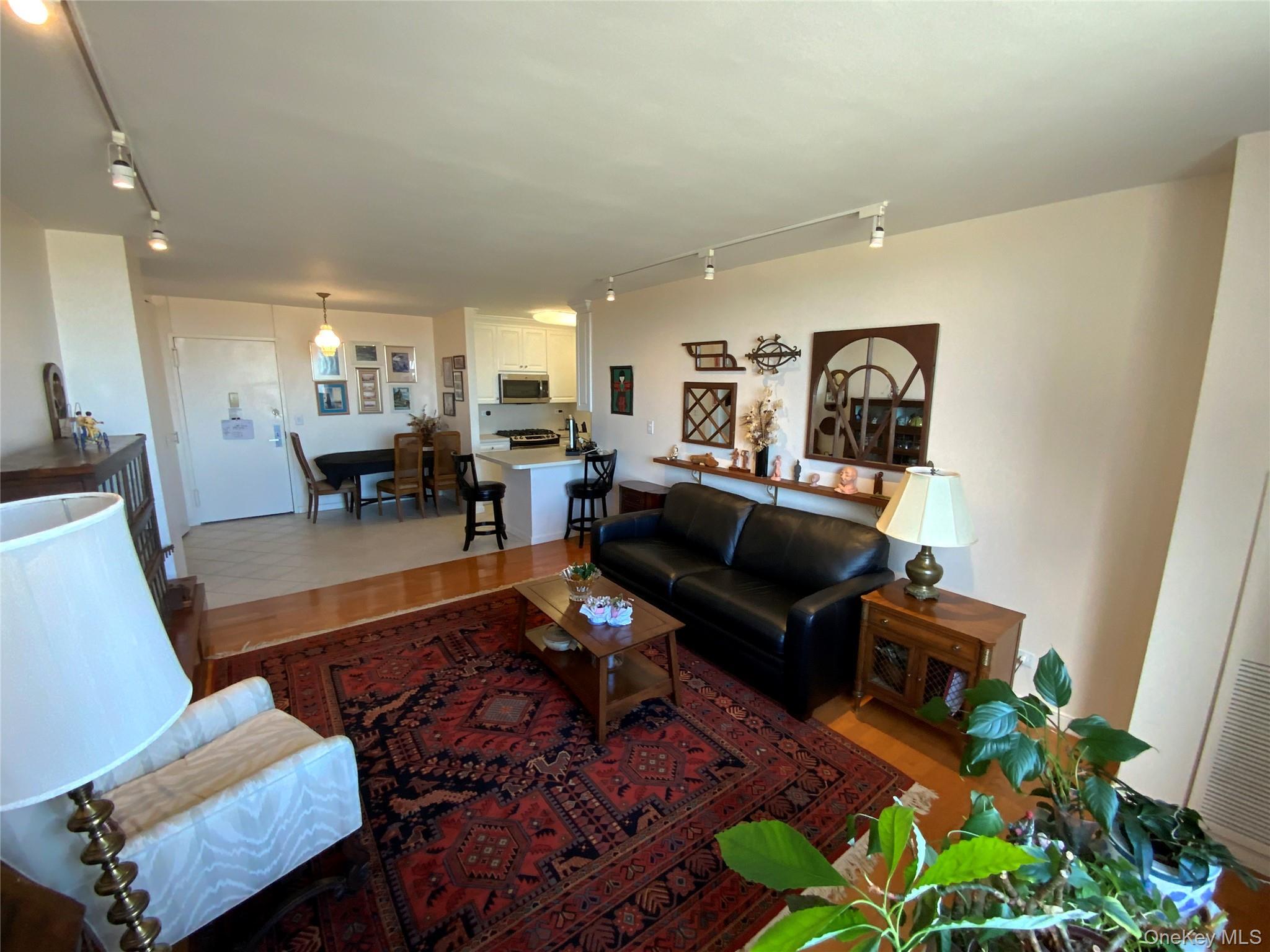 Coop Grand Central  Queens, NY 11005, MLS-979585-5