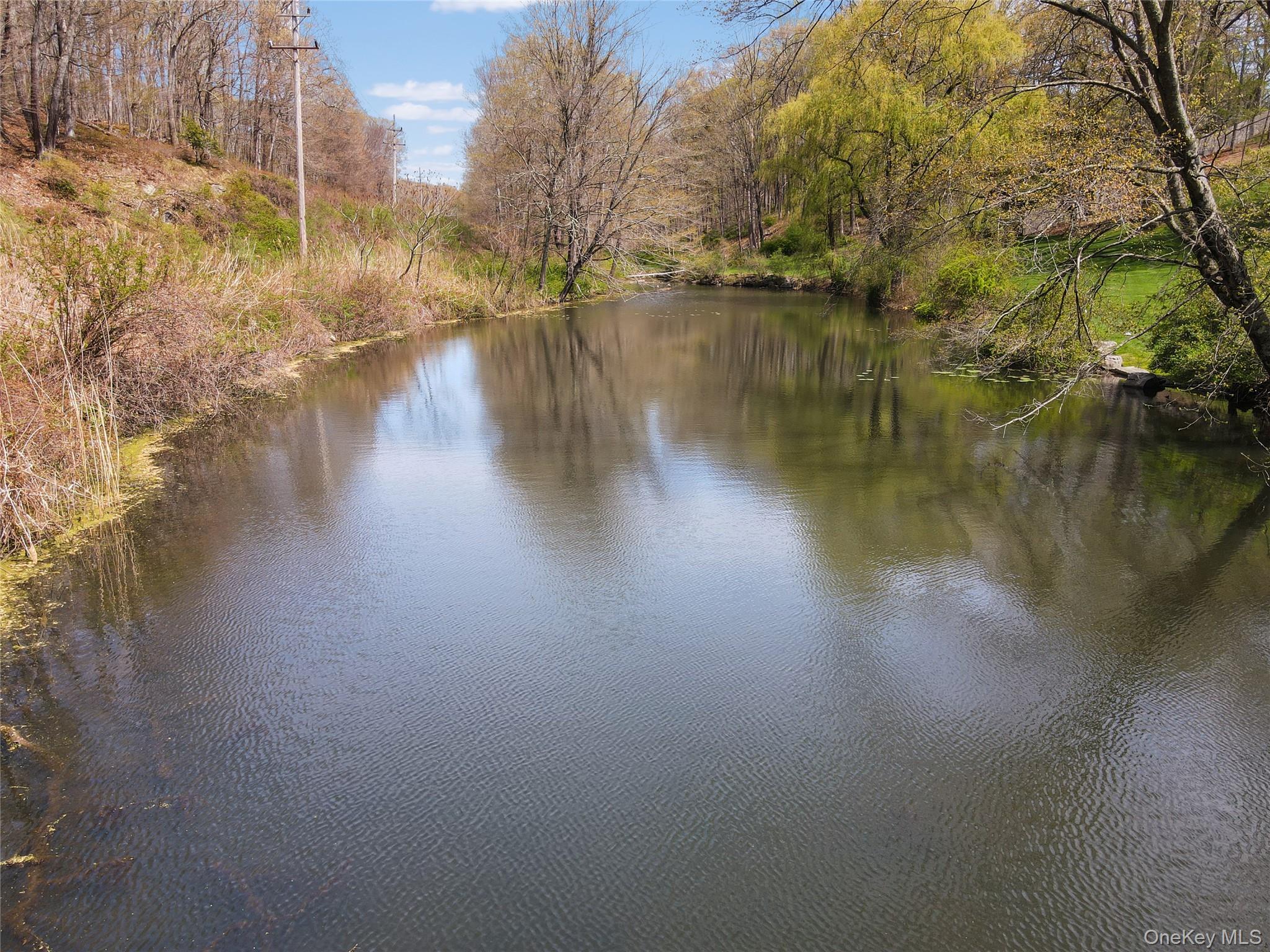 Single Family Cross Pond Road Westchester County, NY 10576, MLS-979591-4