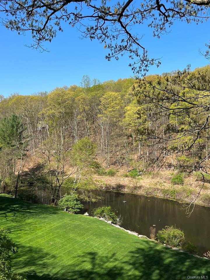 Single Family Cross Pond Road Westchester County, NY 10576, MLS-979591-43