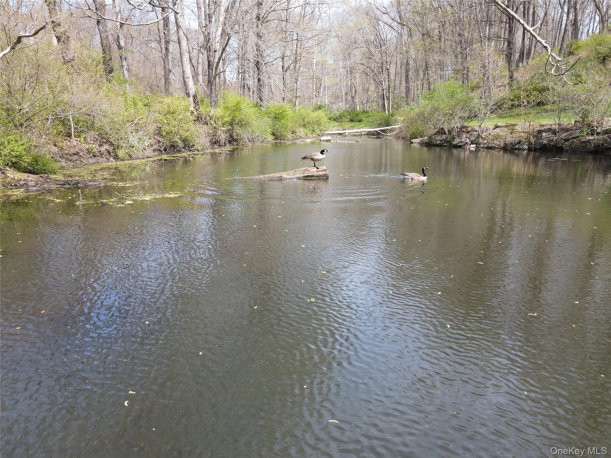Single Family Cross Pond Road Westchester County, NY 10576, MLS-979591-44