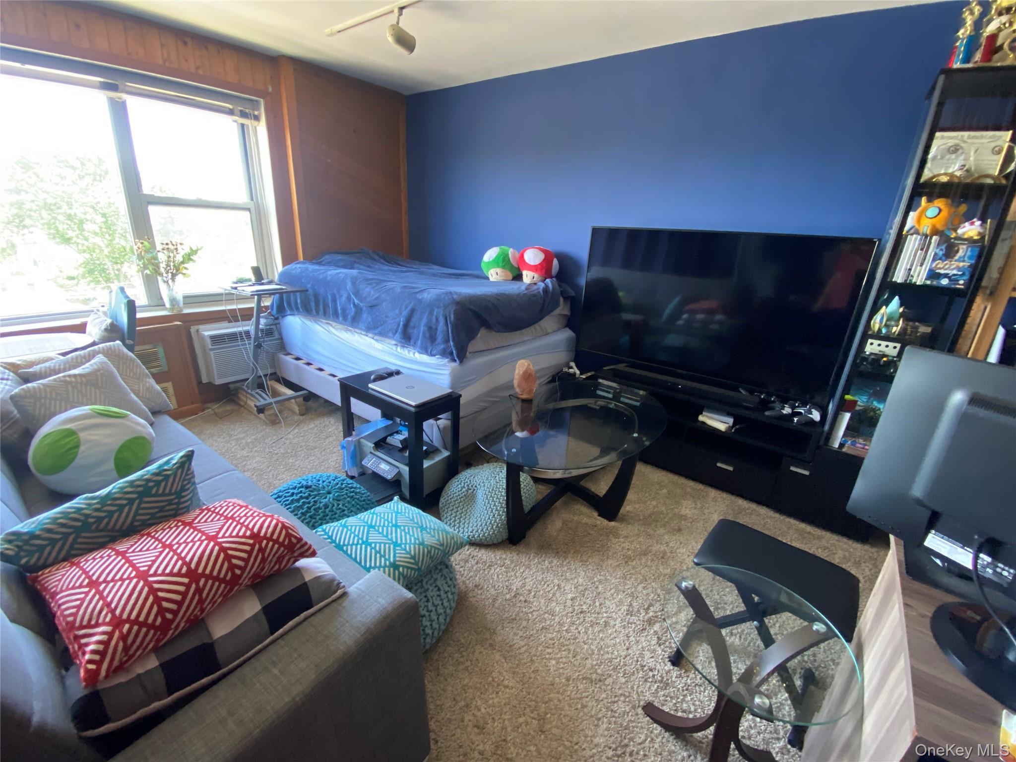 Coop Guy Lombardo  Nassau County, NY 11520, MLS-979594-13