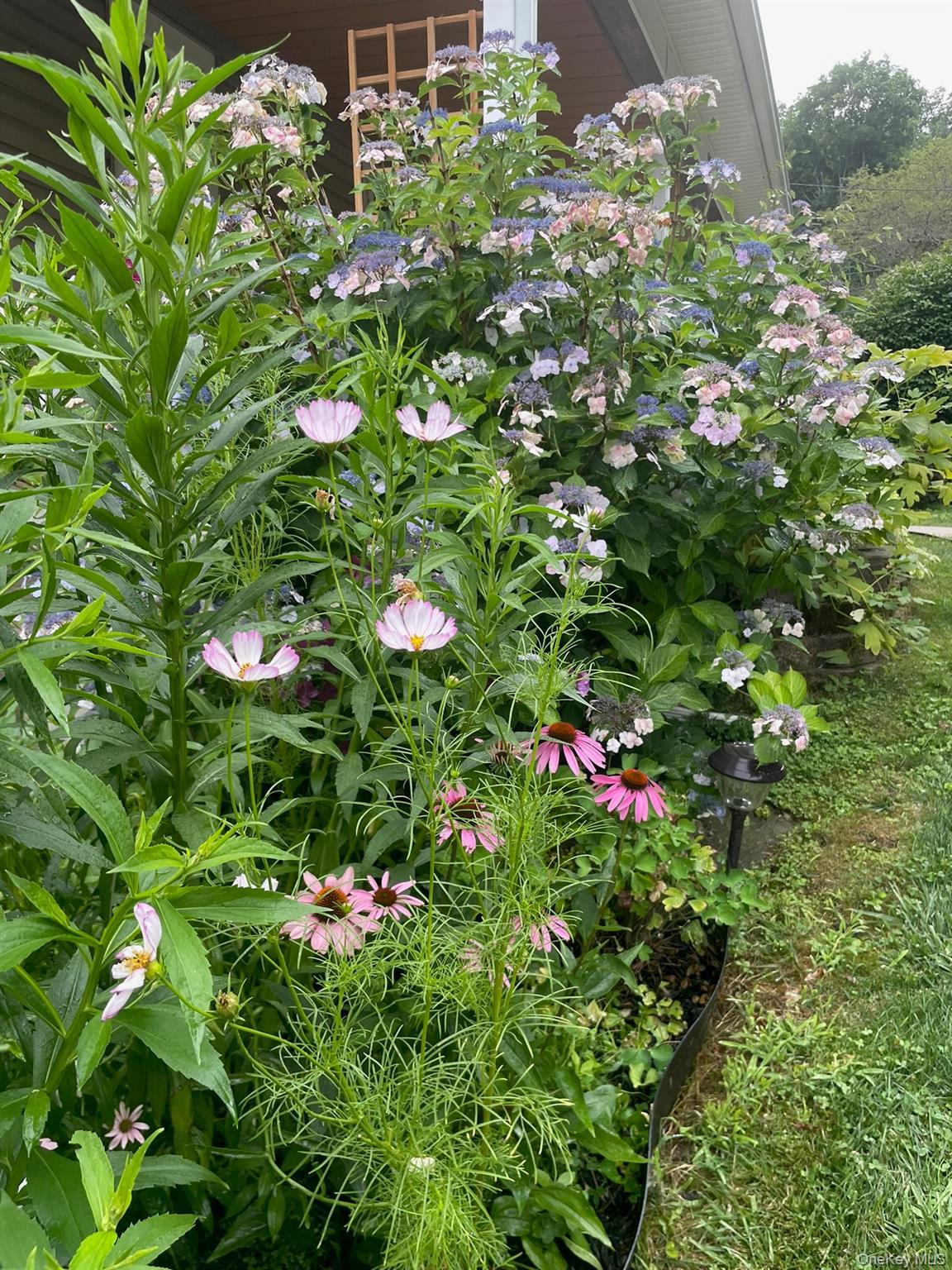 Single Family Anita  Ulster County, NY 12401, MLS-979606-26