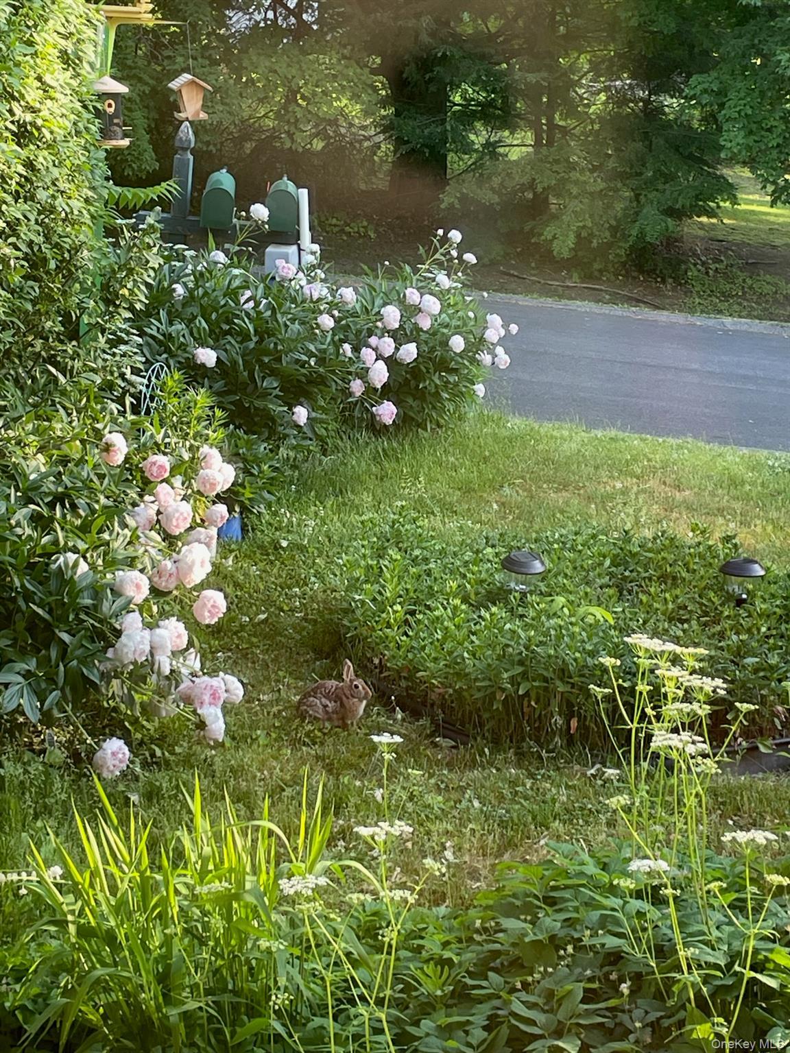 Single Family Anita  Ulster County, NY 12401, MLS-979606-27