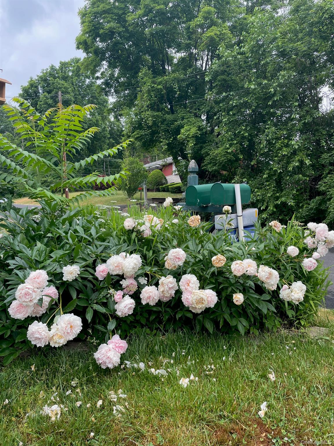 Single Family Anita  Ulster County, NY 12401, MLS-979606-28