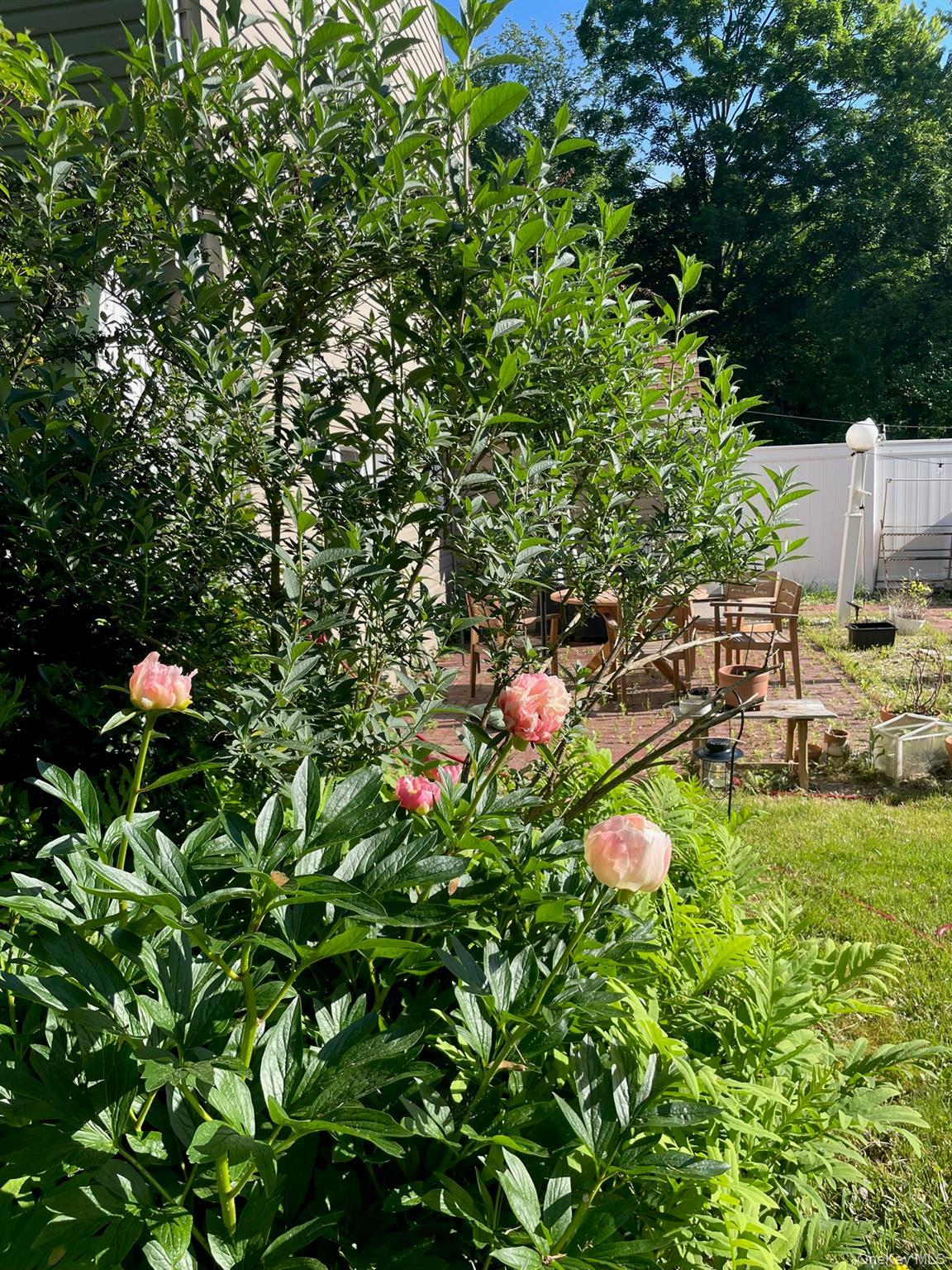 Single Family Anita  Ulster County, NY 12401, MLS-979606-29