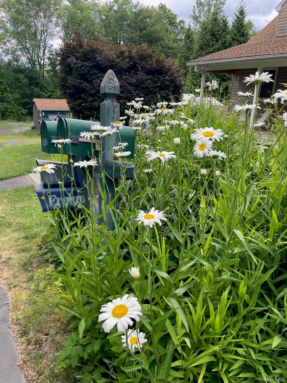 Single Family Anita  Ulster County, NY 12401, MLS-979606-31