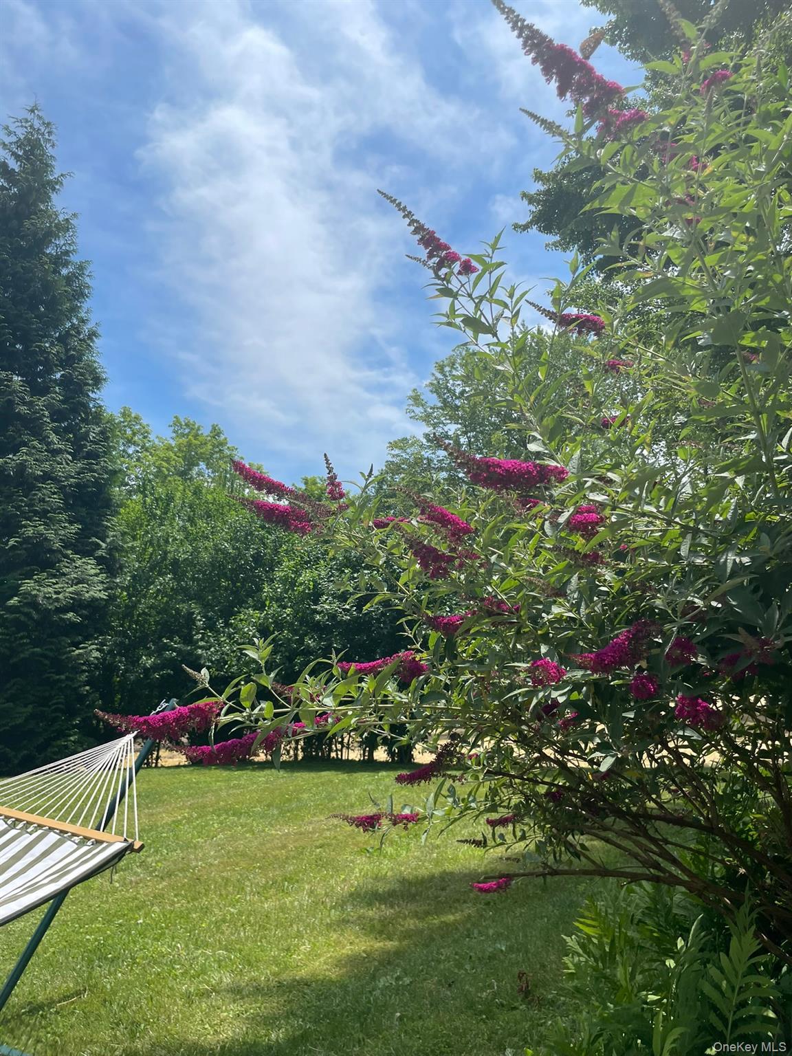 Single Family Anita  Ulster County, NY 12401, MLS-979606-33