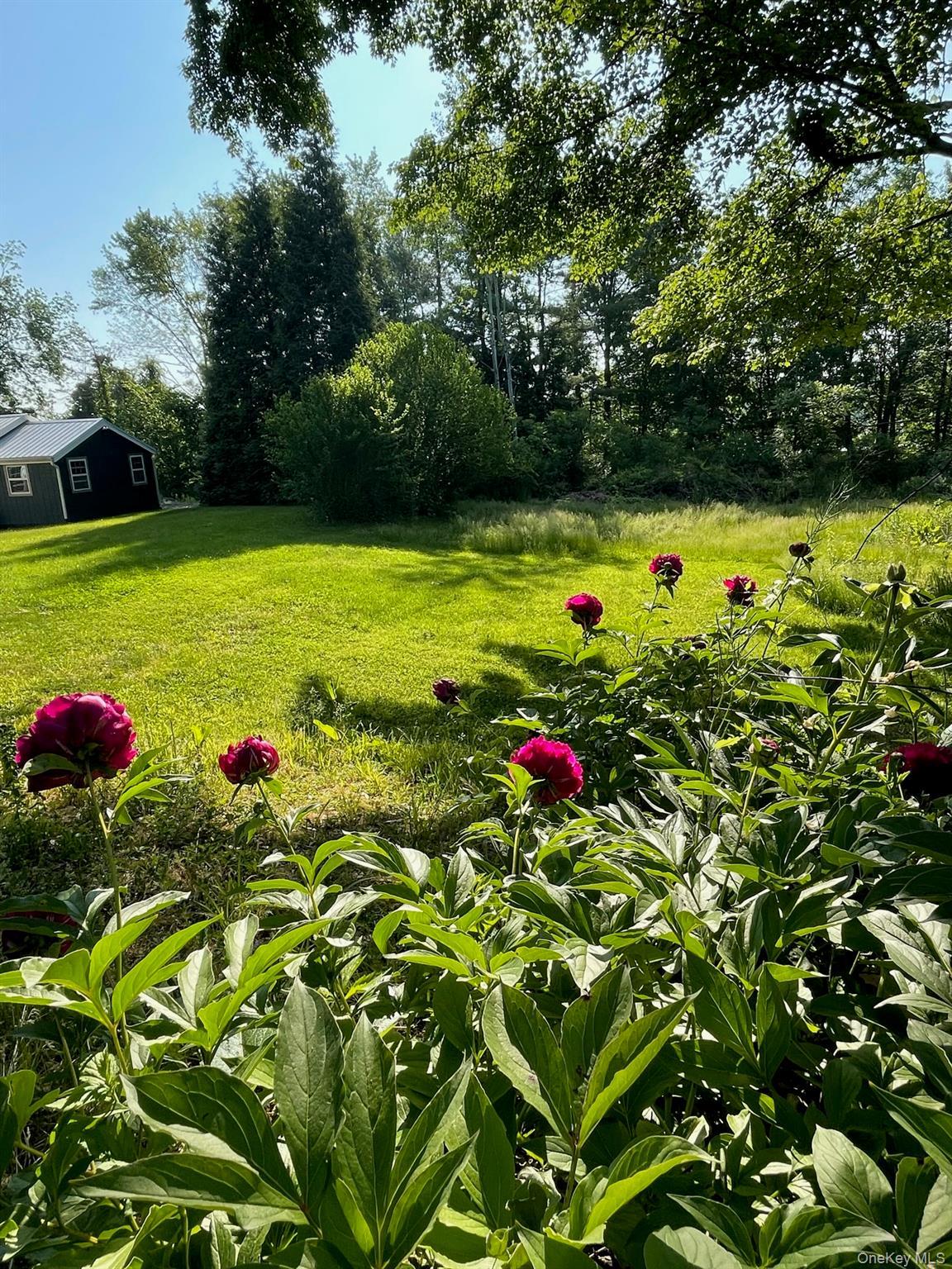 Single Family Anita  Ulster County, NY 12401, MLS-979606-35